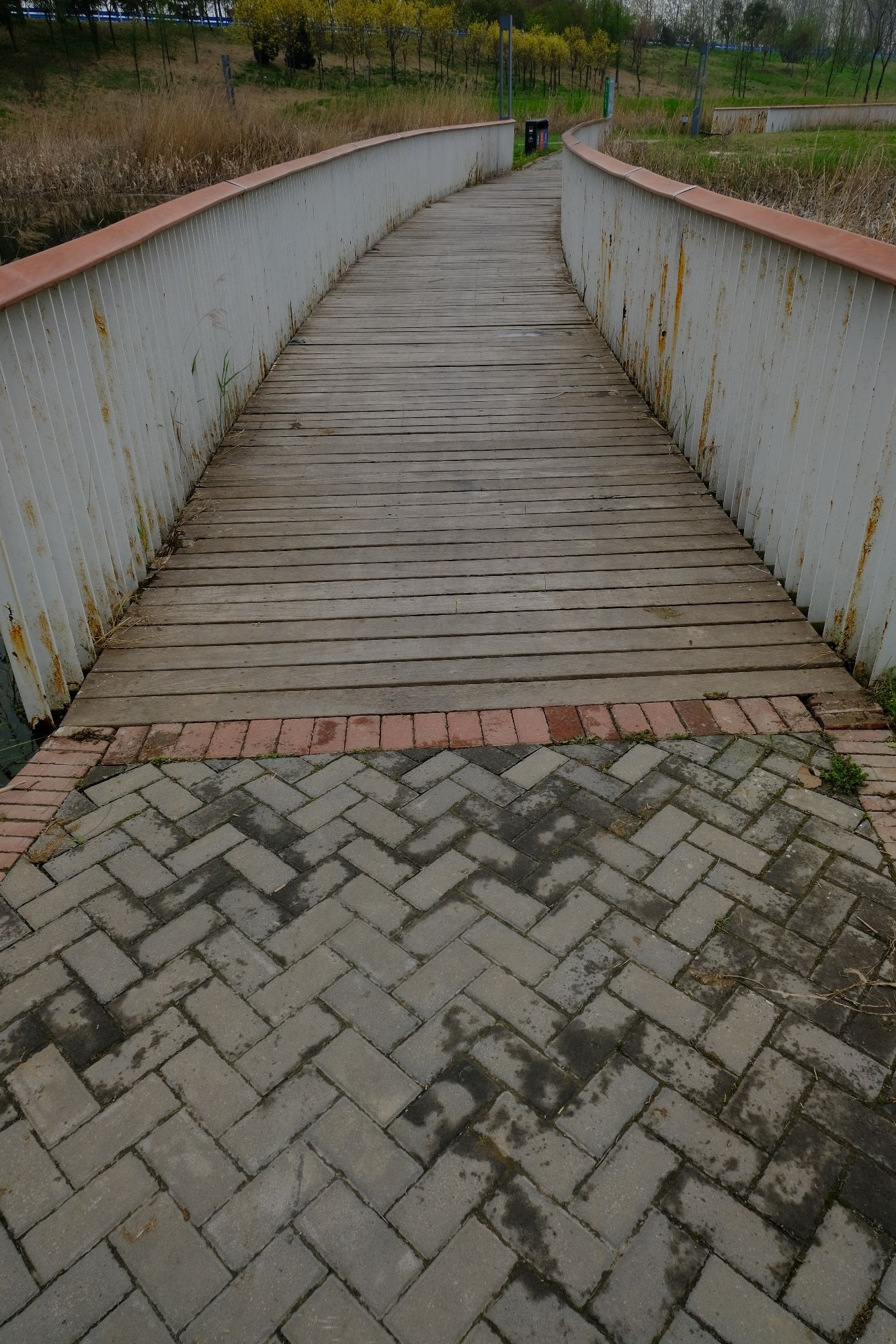 周口市沙河湾湿地公园旅行图片 3