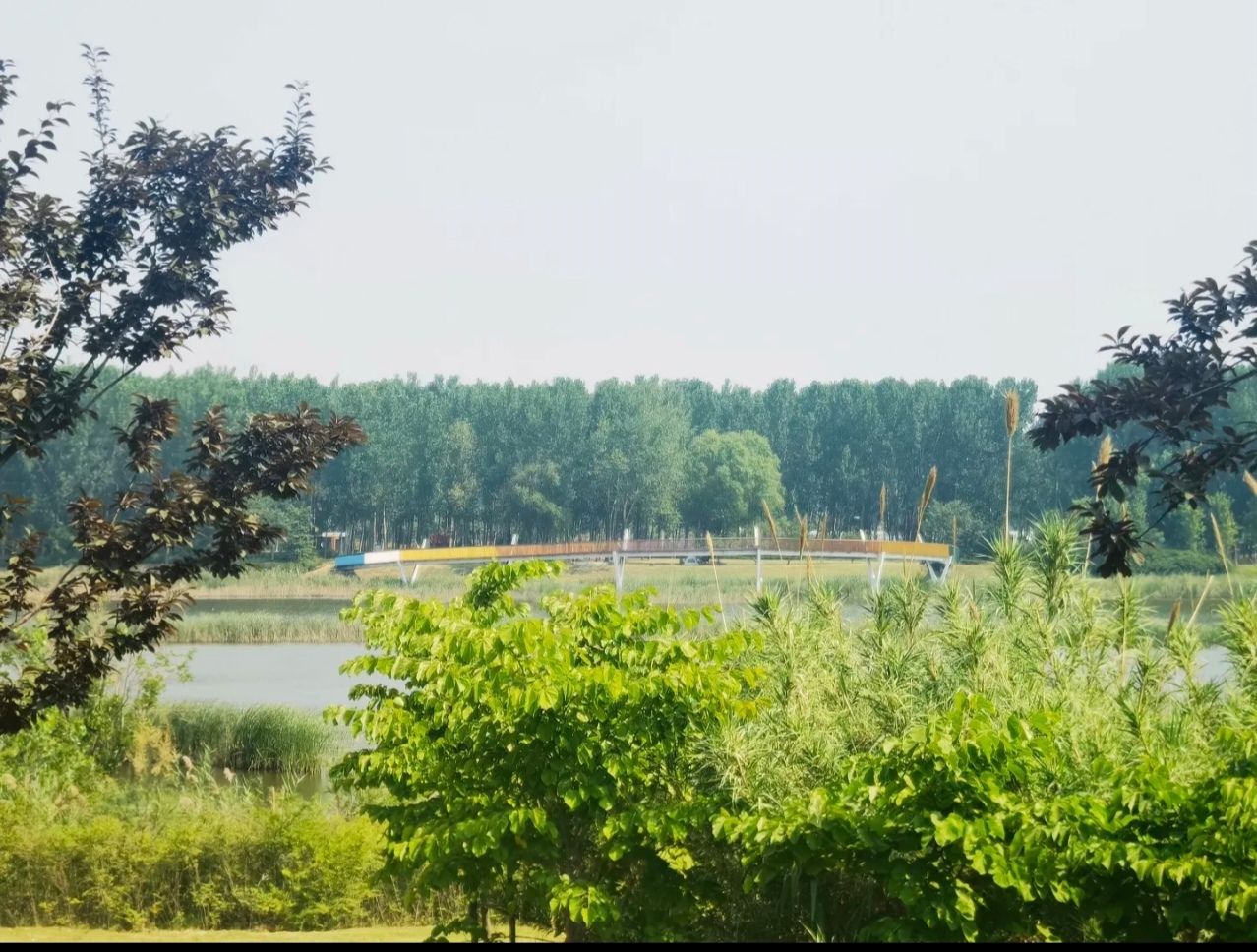 周口市沙河湾湿地公园旅行图片 2