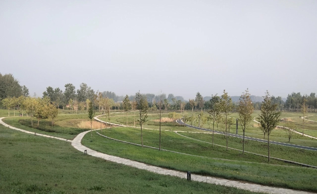 周口市沙河湾湿地公园旅行图片 2