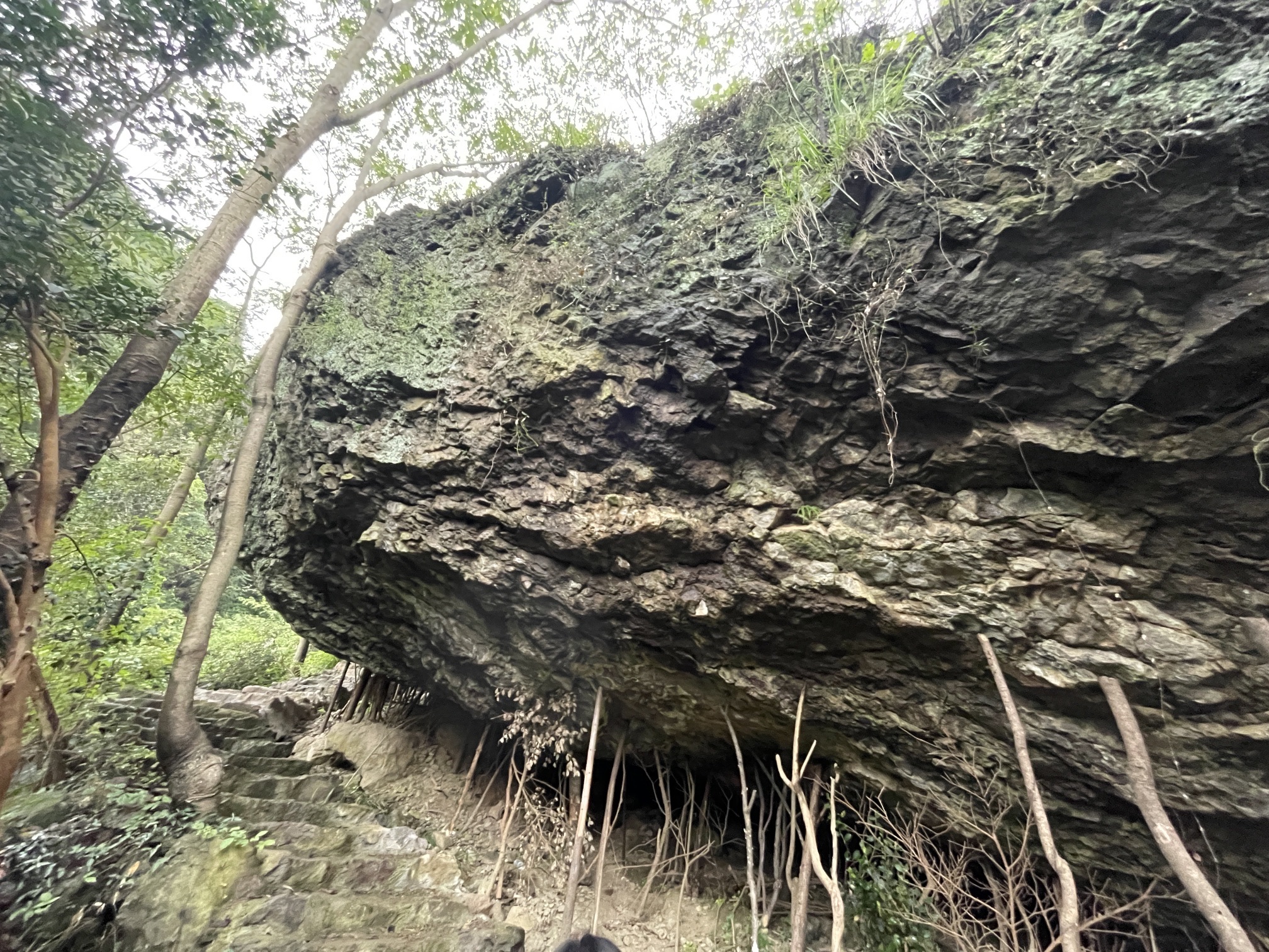 舒城县望母山旅游风景区旅行图片 3