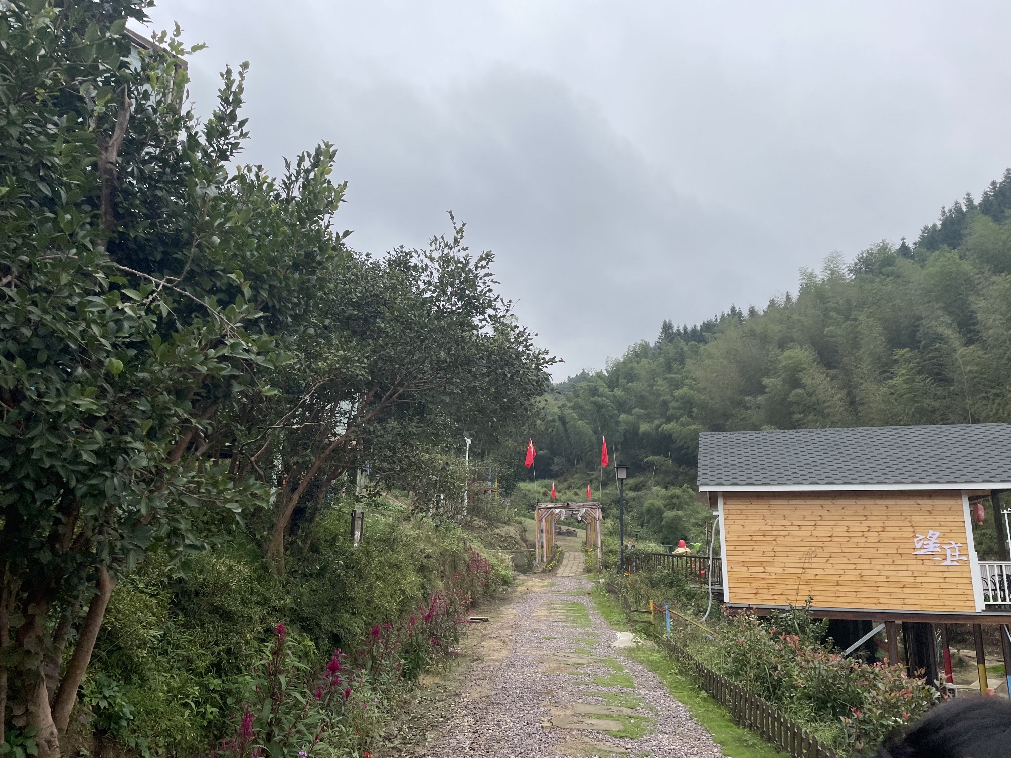 舒城县望母山旅游风景区旅行图片 1