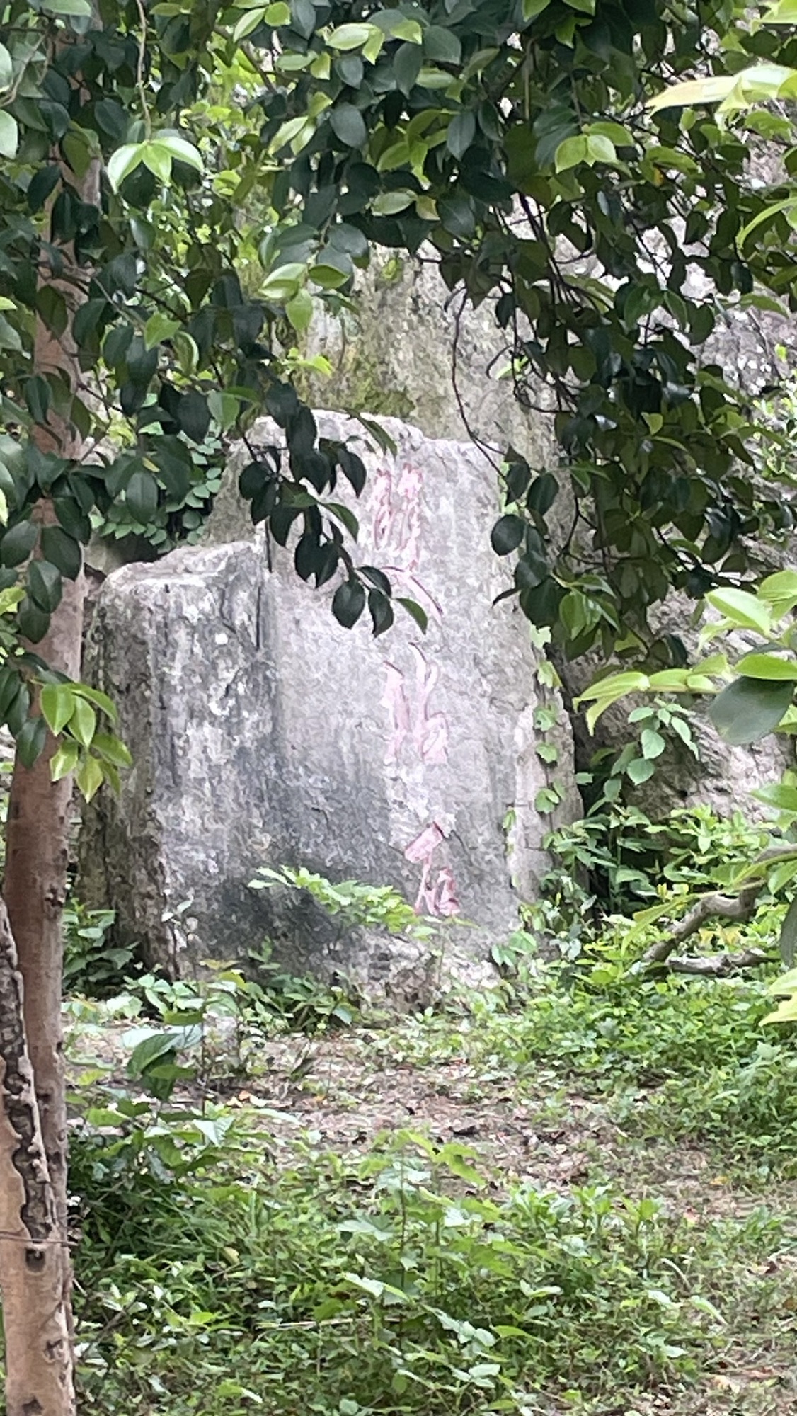 舒城县望母山旅游风景区旅行图片 3