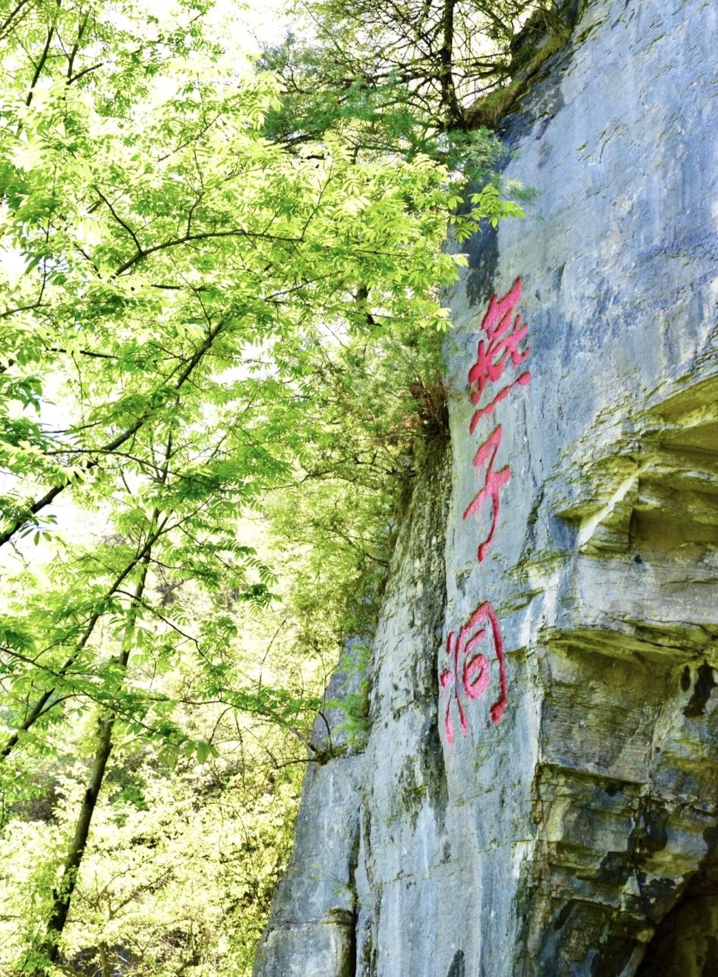 燕子洞风景区旅行图片 2