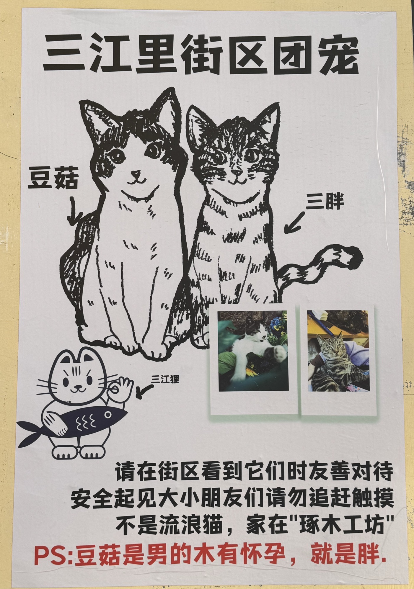 上街里·三江里旅行图片 3