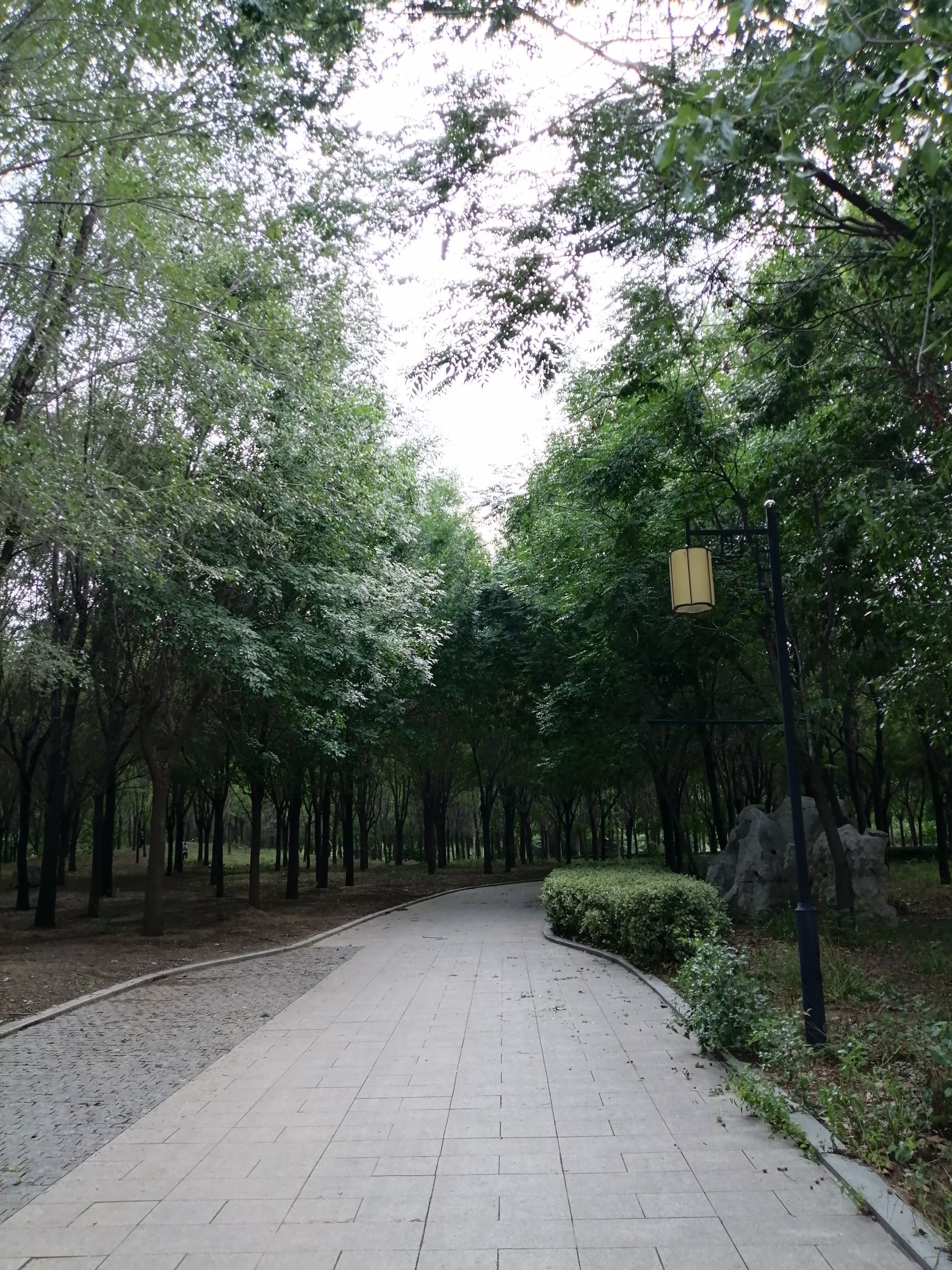 梁山森林公园旅行图片 2