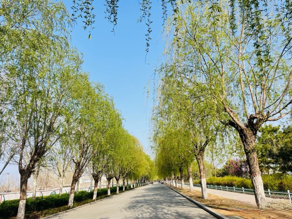 梁山森林公园旅行图片 3