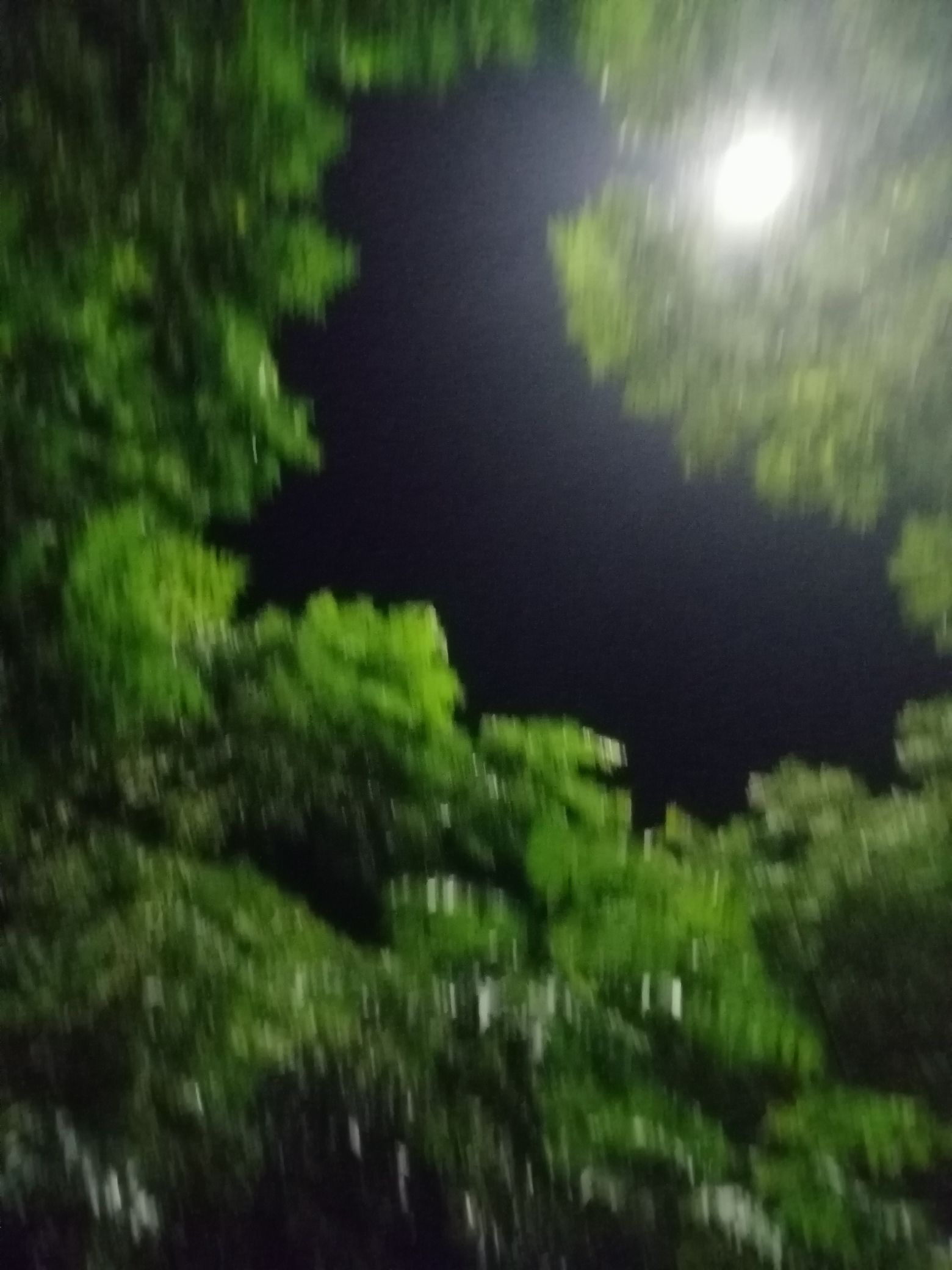 梁山森林公园旅行图片 3