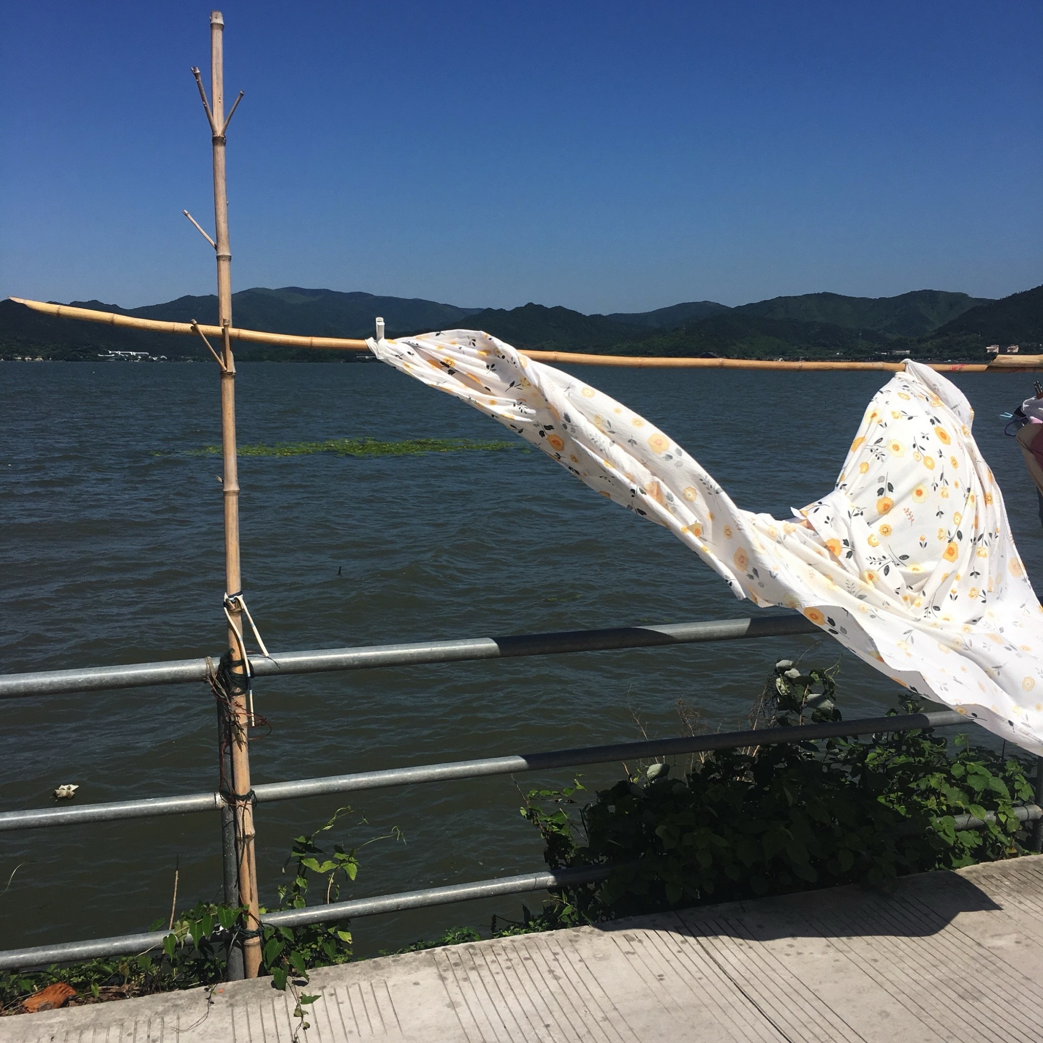 田螺山旅行图片 3