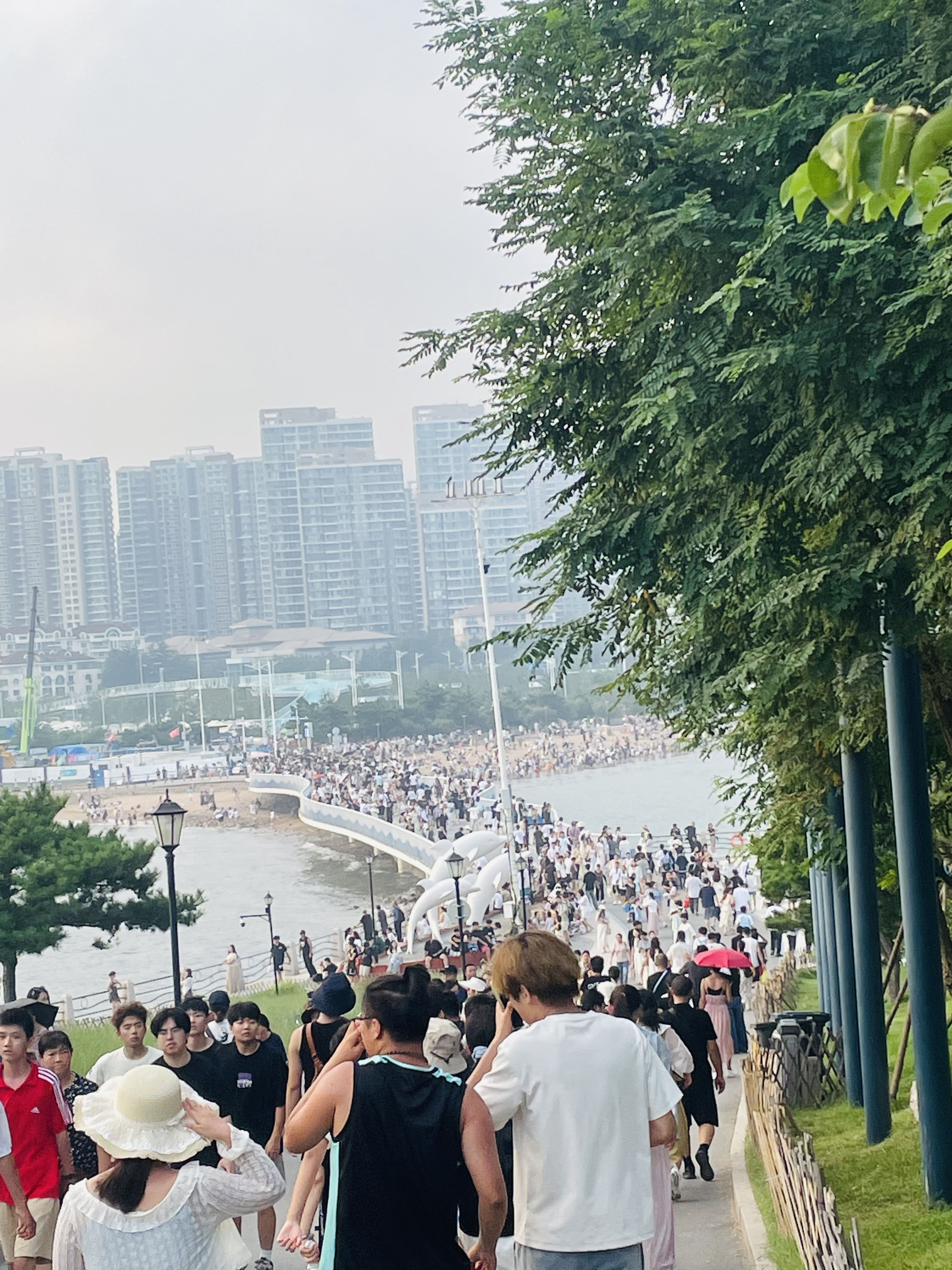 沙子口休闲广场旅行图片 2