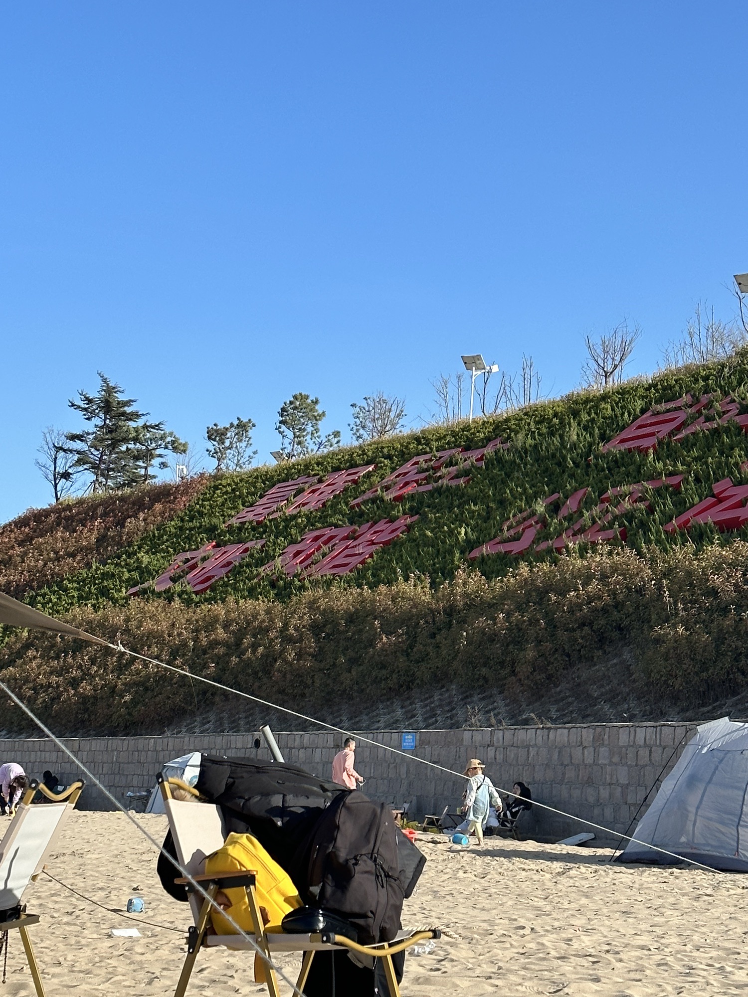 沙子口休闲广场旅行图片 3