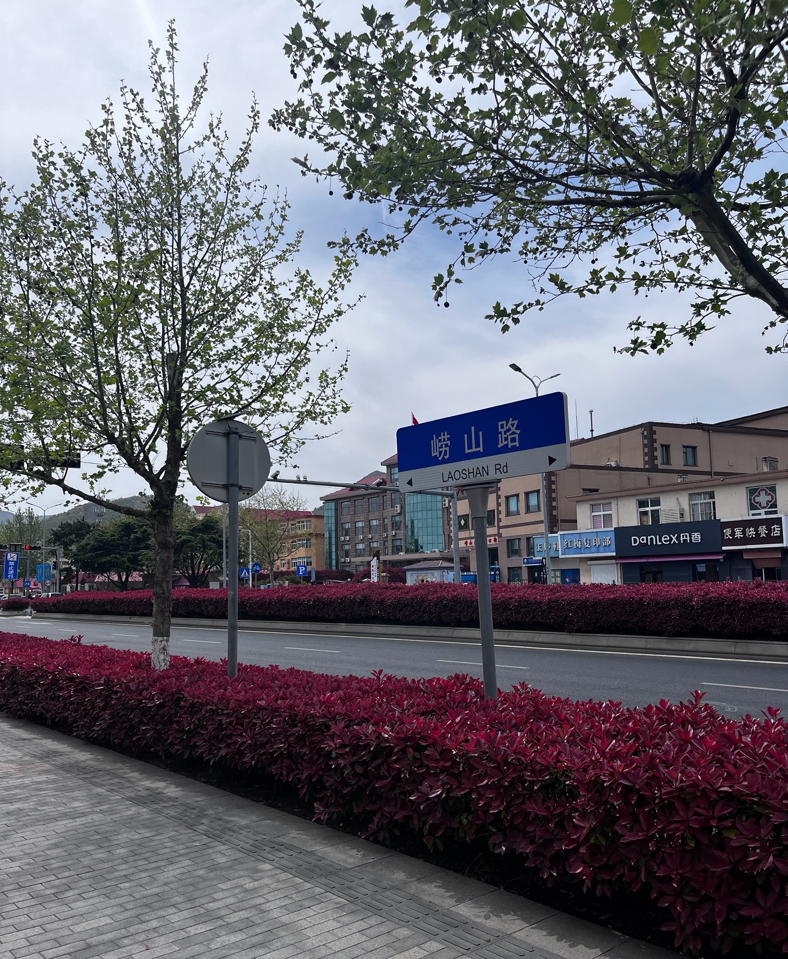 沙子口休闲广场旅行图片 1
