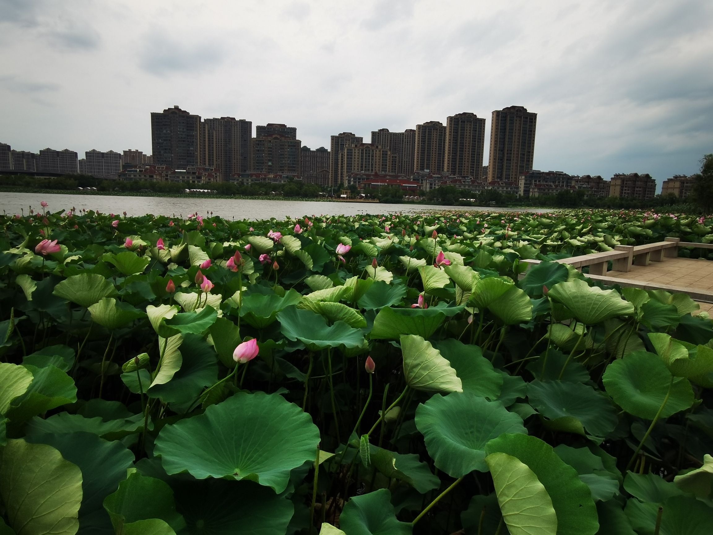香榭湖景区旅行图片 1
