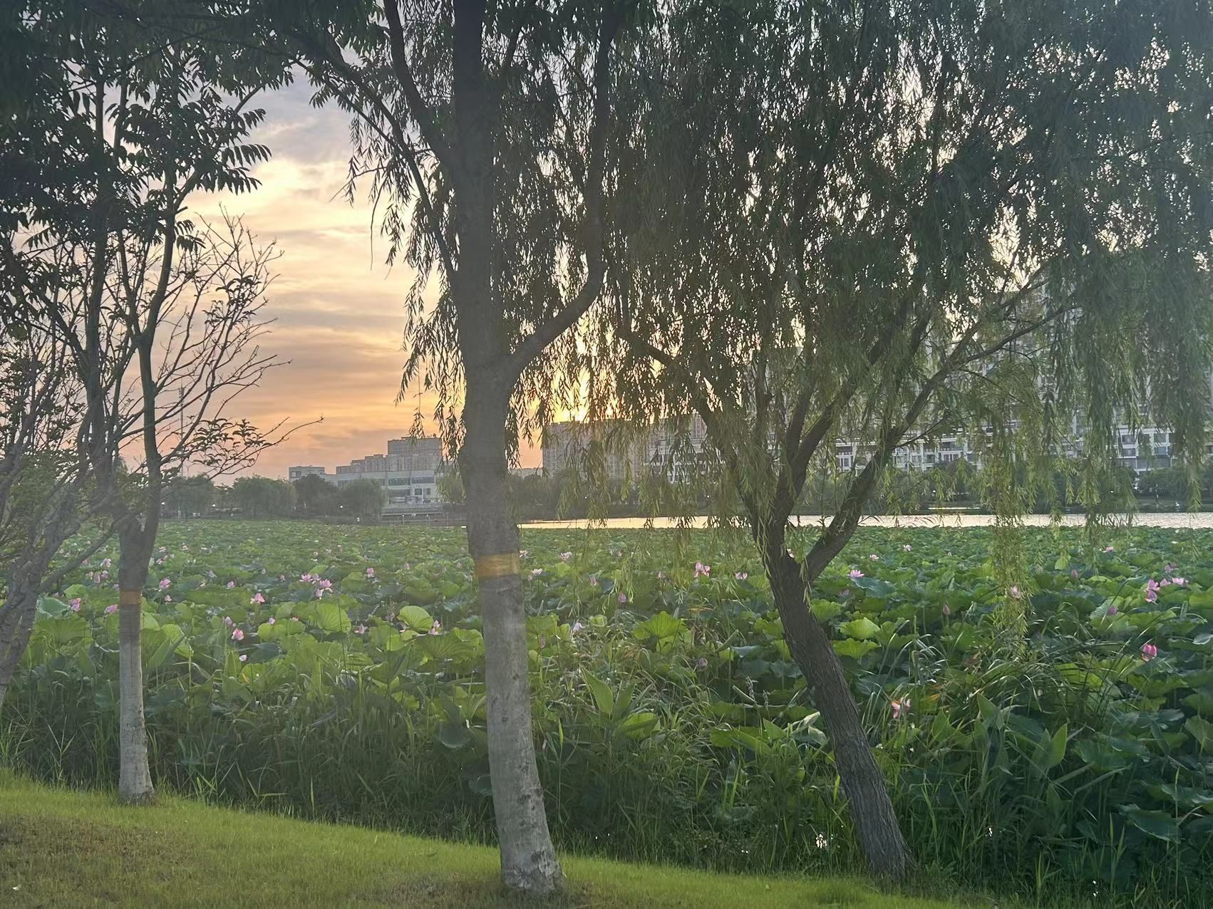 香榭湖景区旅行图片 3