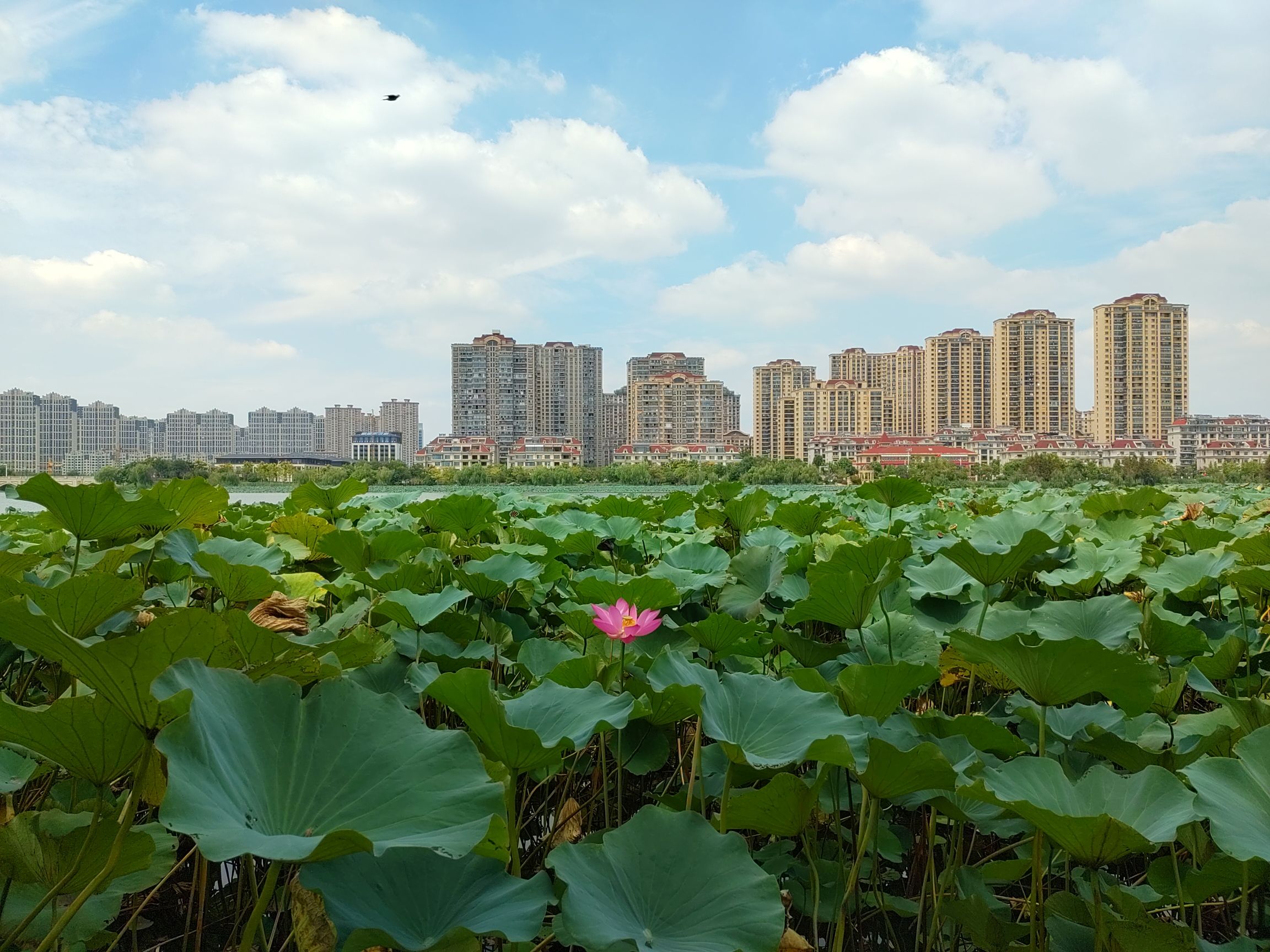 香榭湖景区