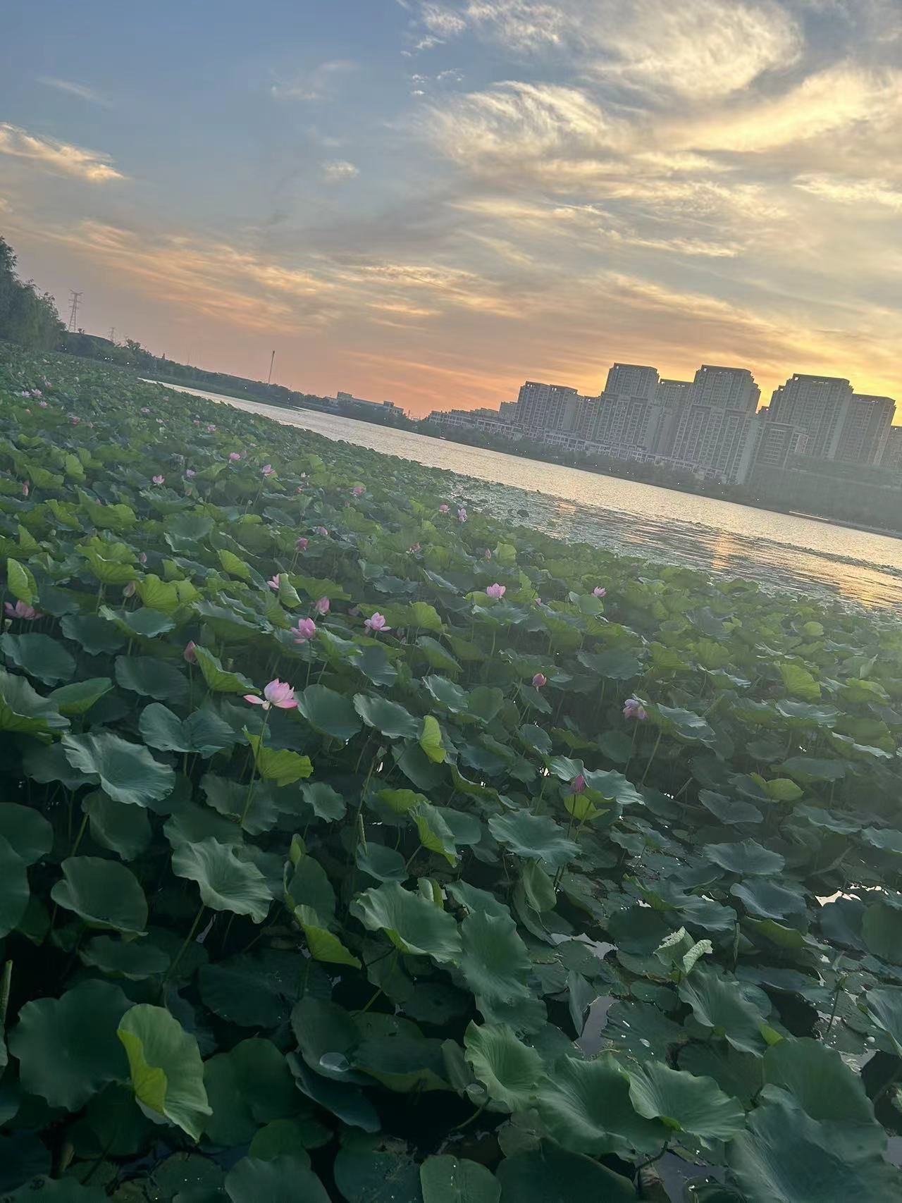 香榭湖景区旅行图片 2