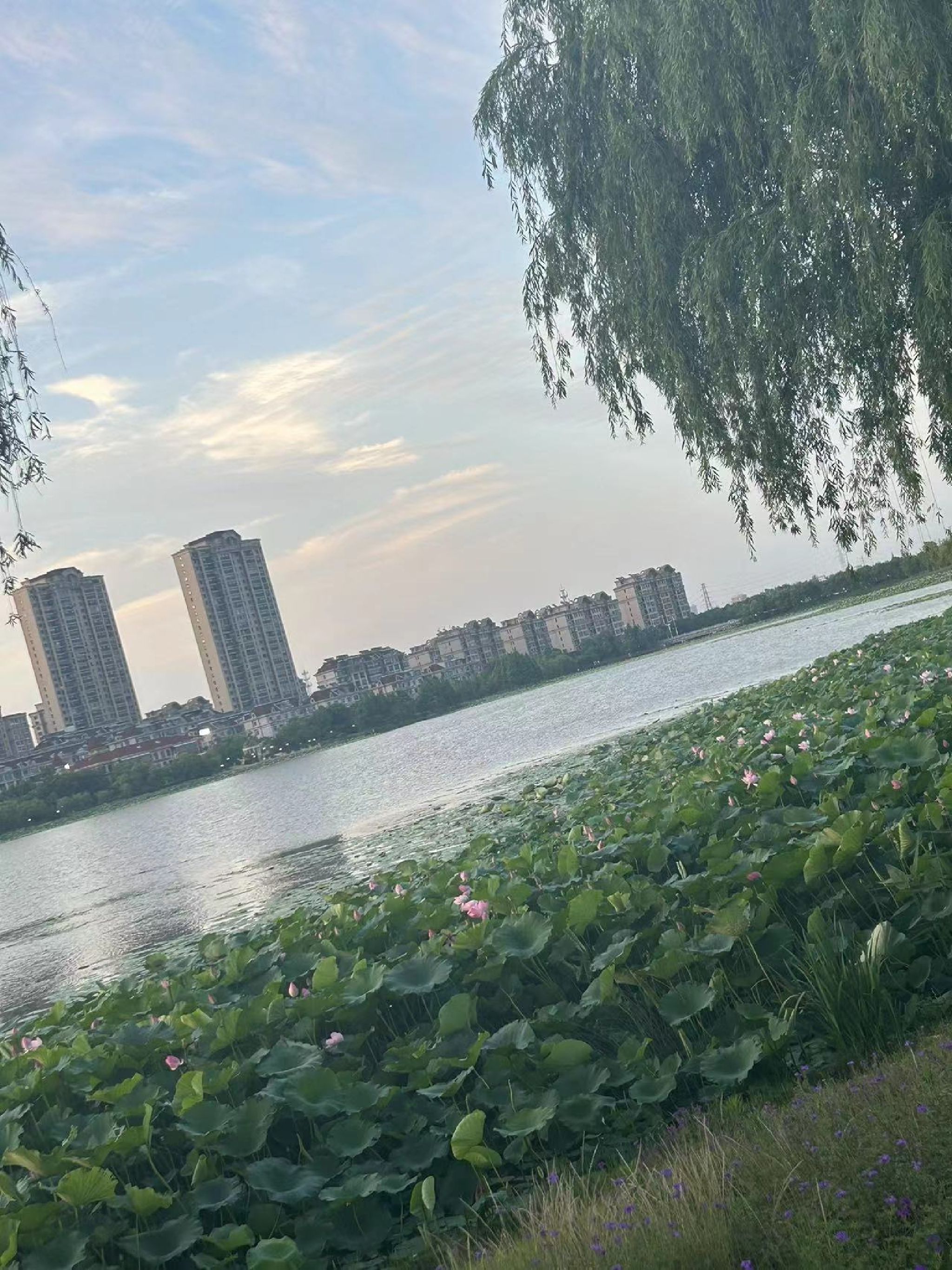 香榭湖景区旅行图片 1
