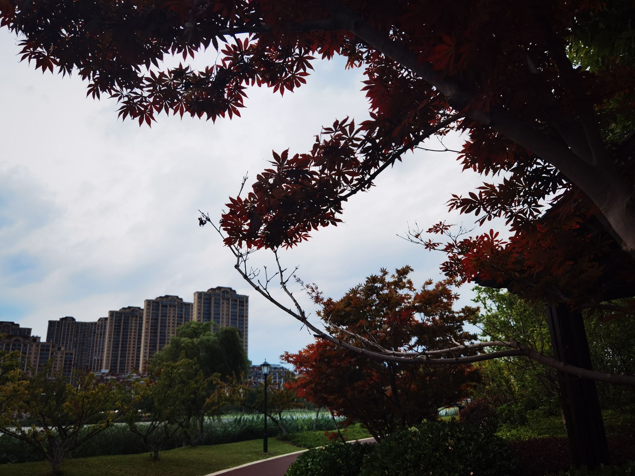 香榭湖景区旅行图片 3