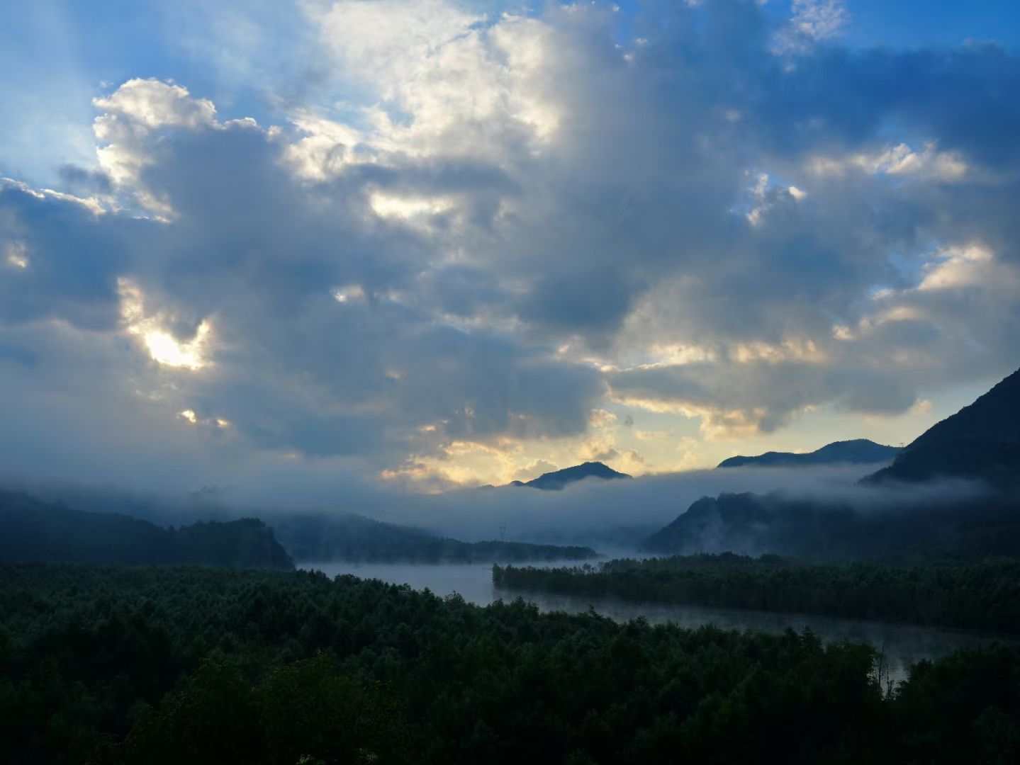 落羽杉摄影观景平台旅行图片 3