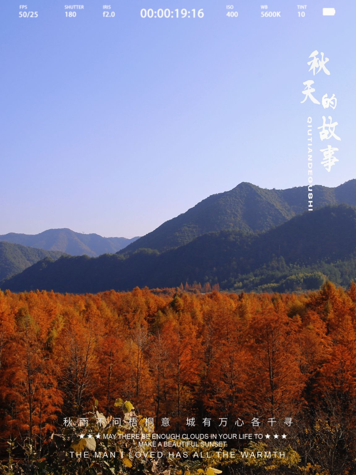 落羽杉摄影观景平台旅行图片 1