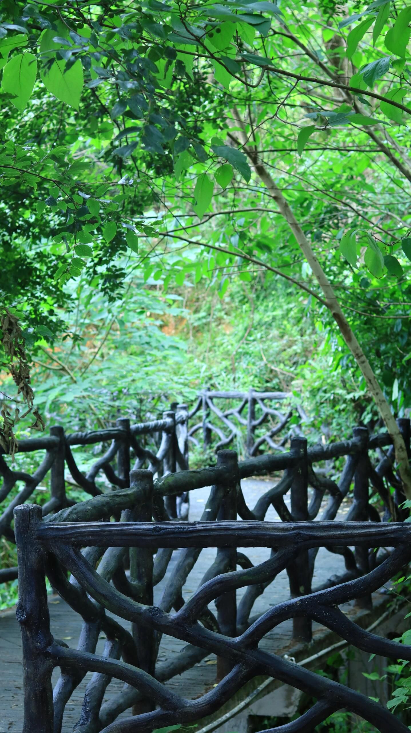宝石公园旅行图片 1