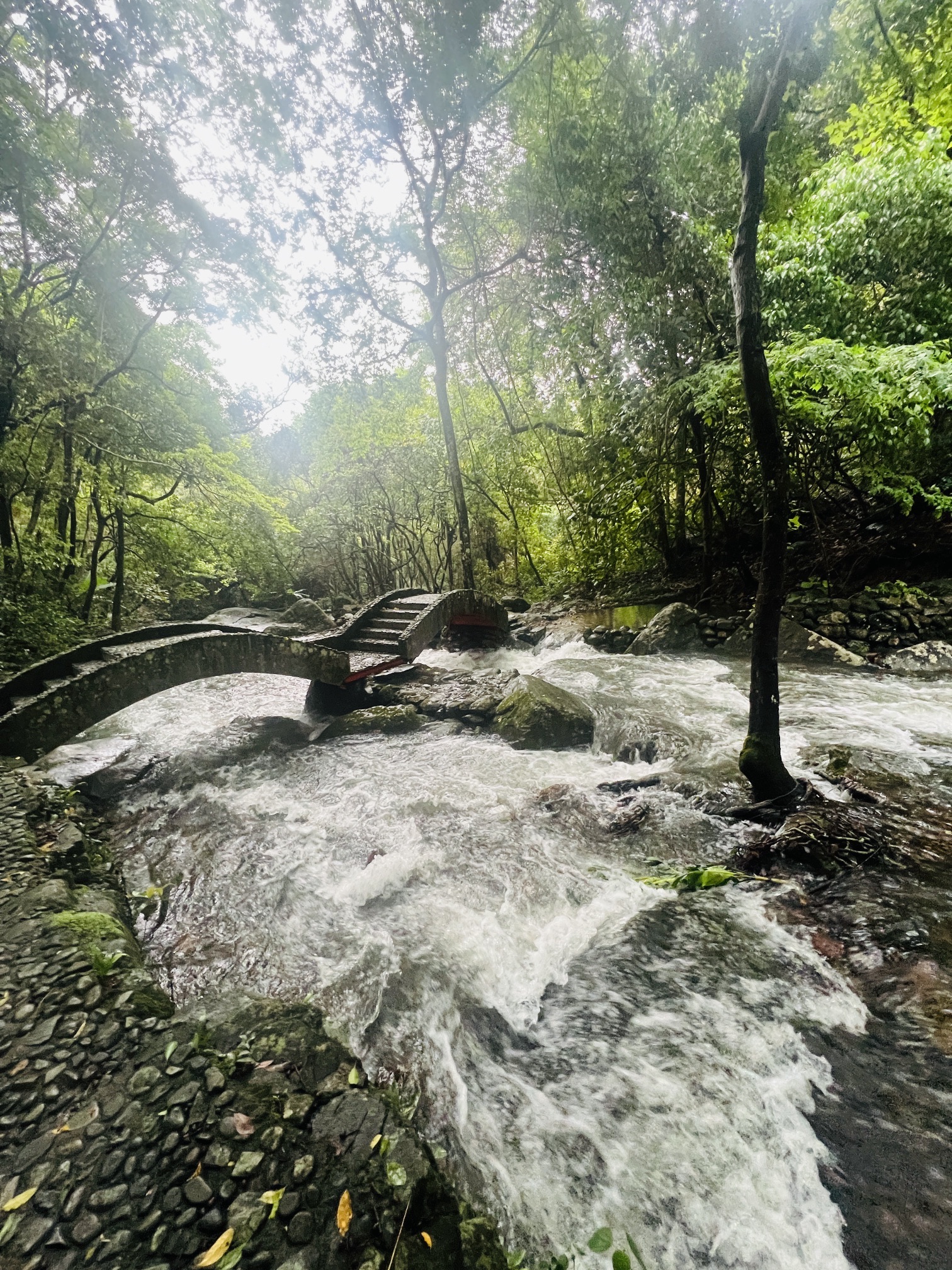 神仙谷景区旅行图片 3