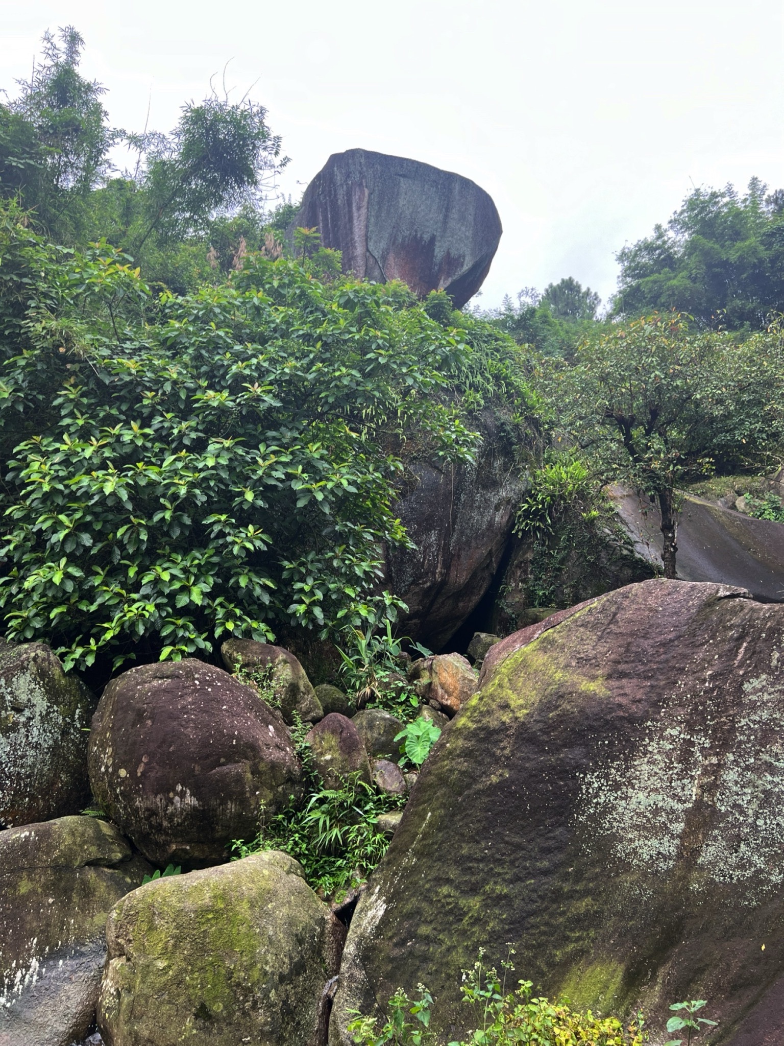 神仙谷景区旅行图片 3
