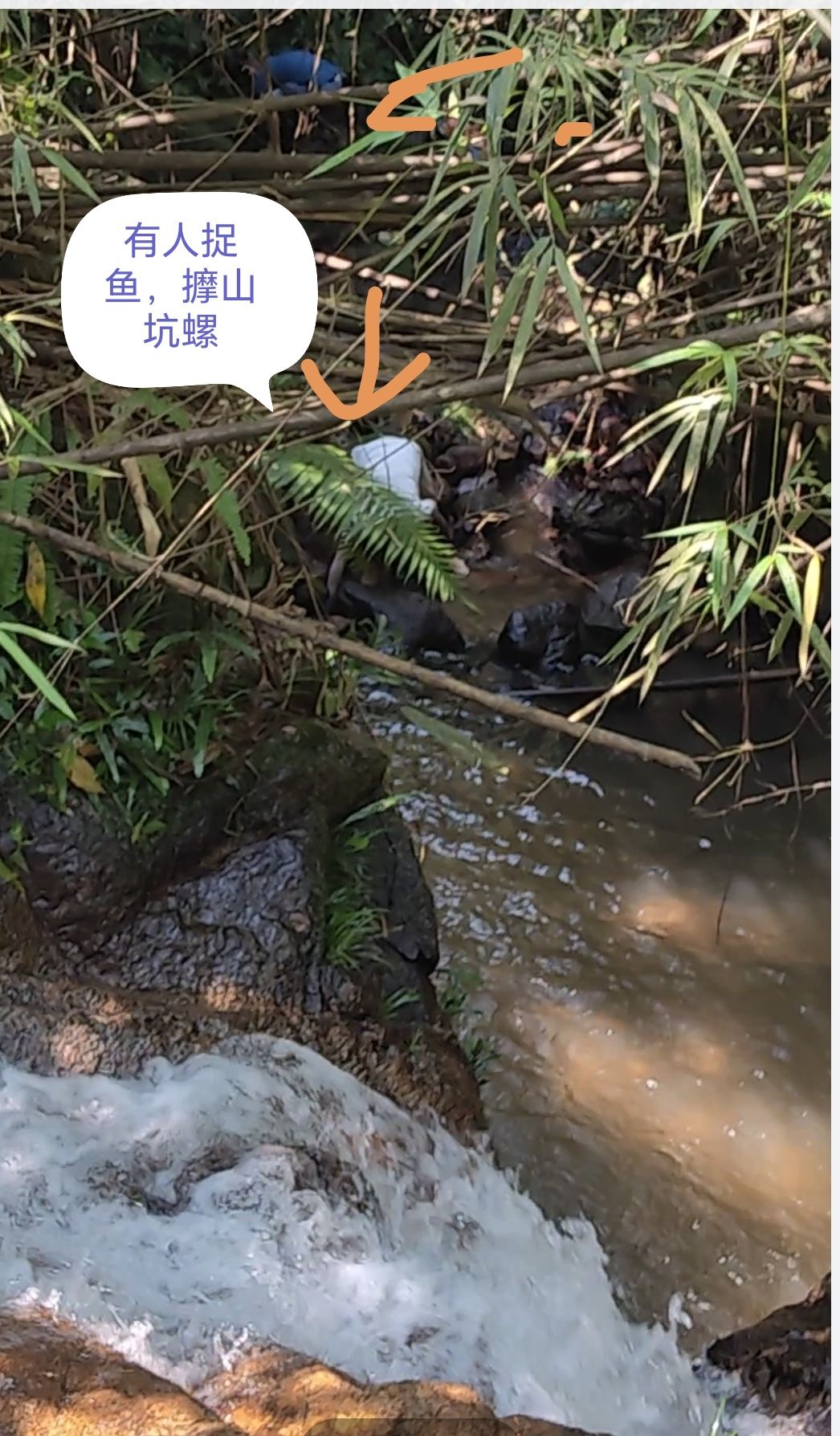 神仙谷景区旅行图片 1