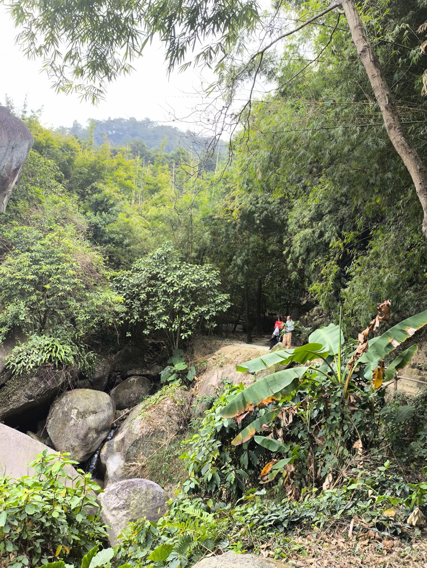 神仙谷景区旅行图片 3