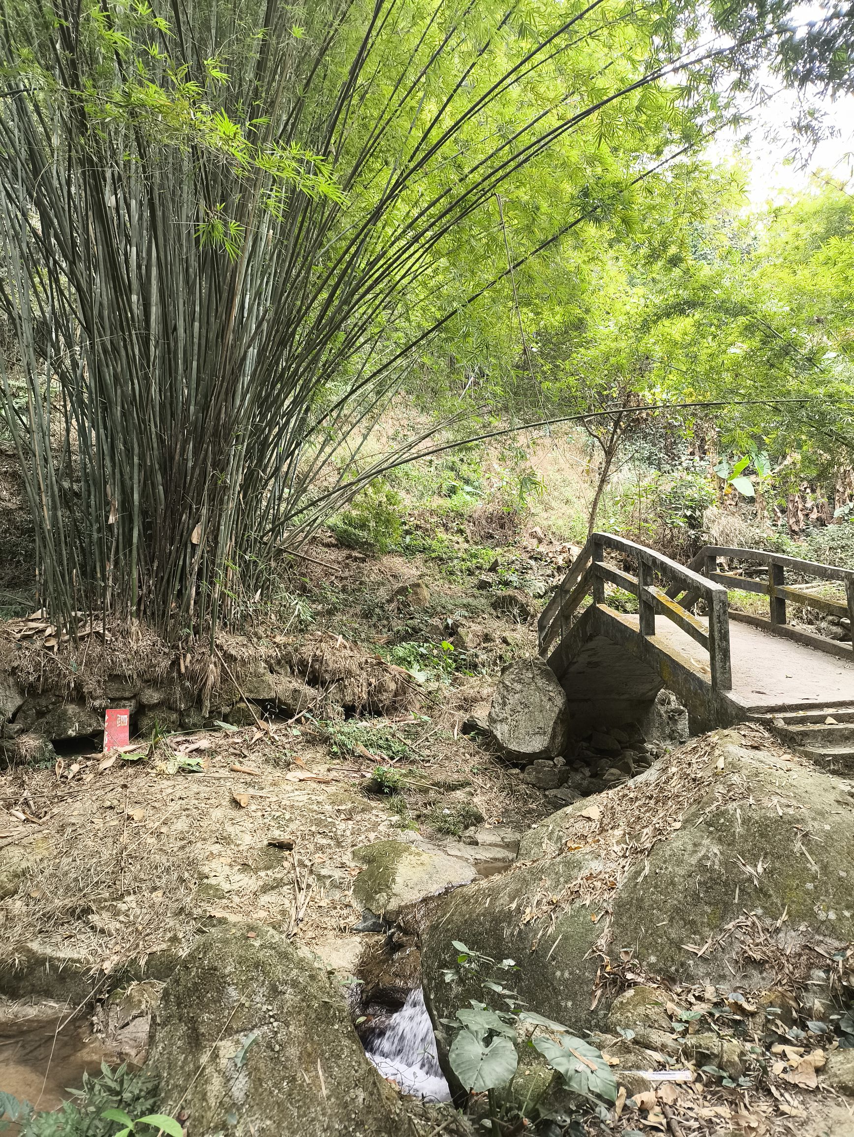 神仙谷景区旅行图片 1