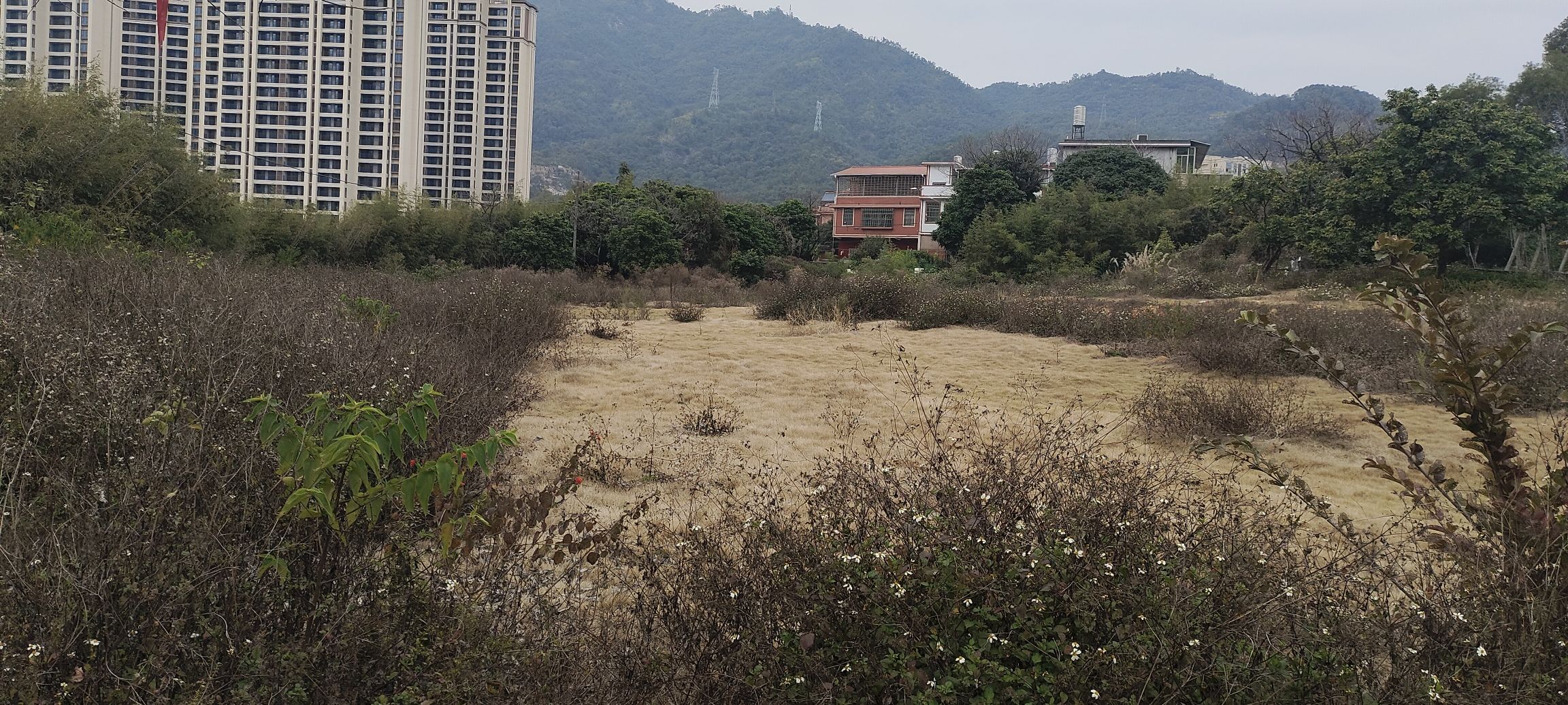 溪禾山铁观音文化园旅行图片 3