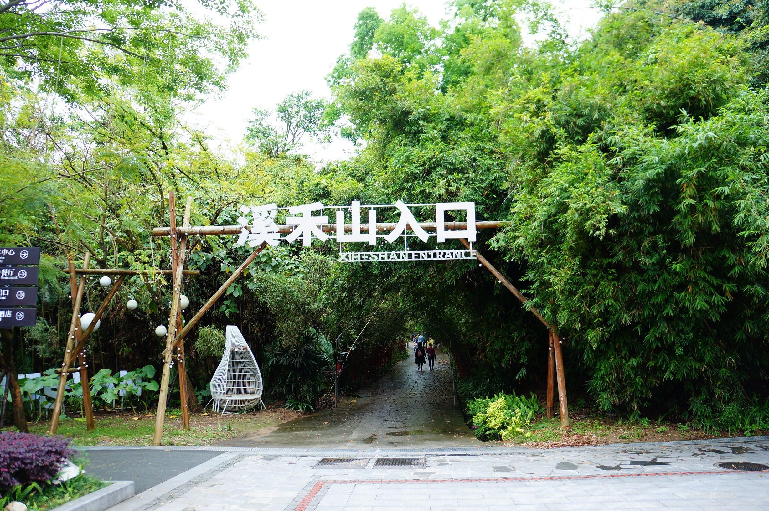 溪禾山铁观音文化园旅行图片 2