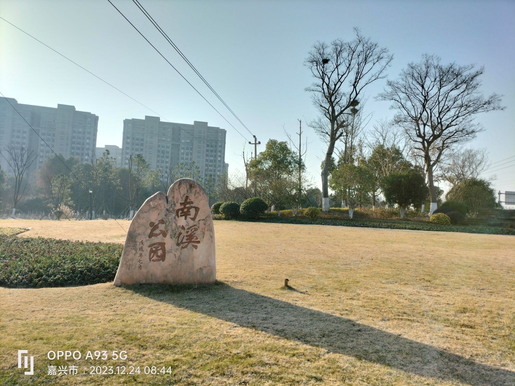 南溪公园旅行图片 1