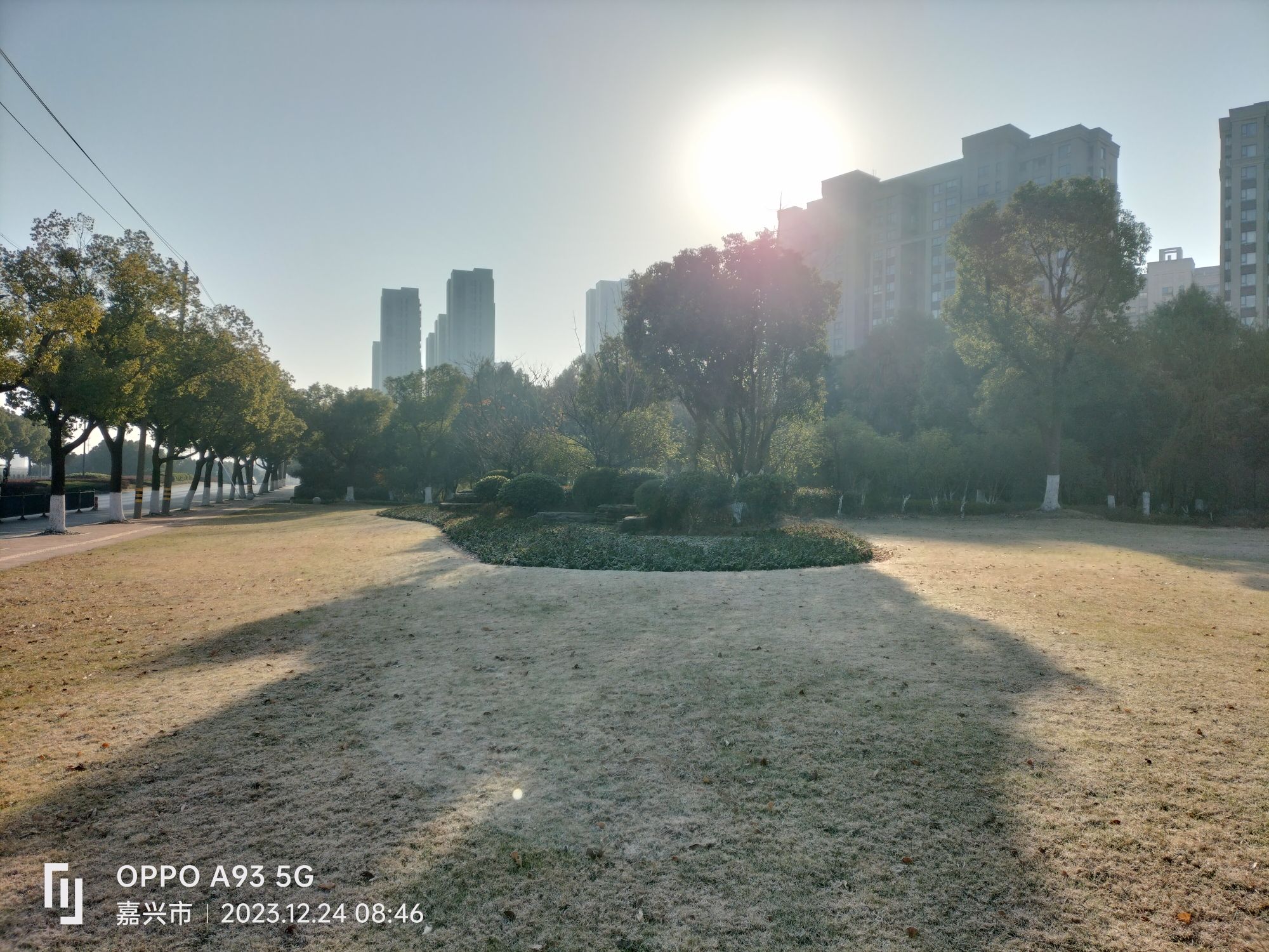 南溪公园旅行图片 3