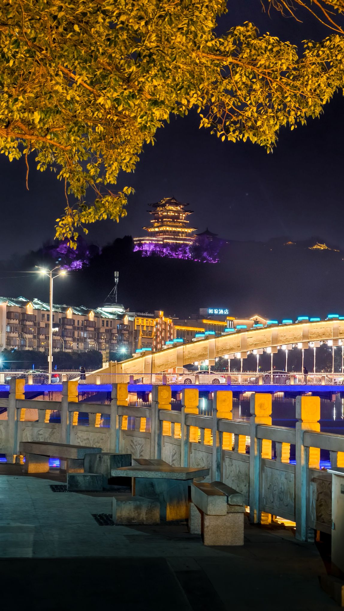 江滨公园旅行图片 3