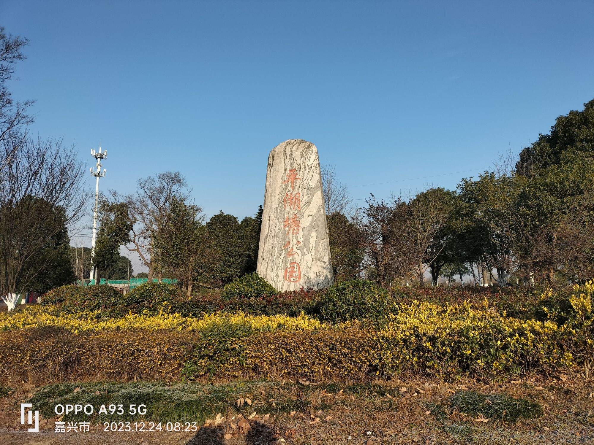 平湖塘公园旅行图片 1