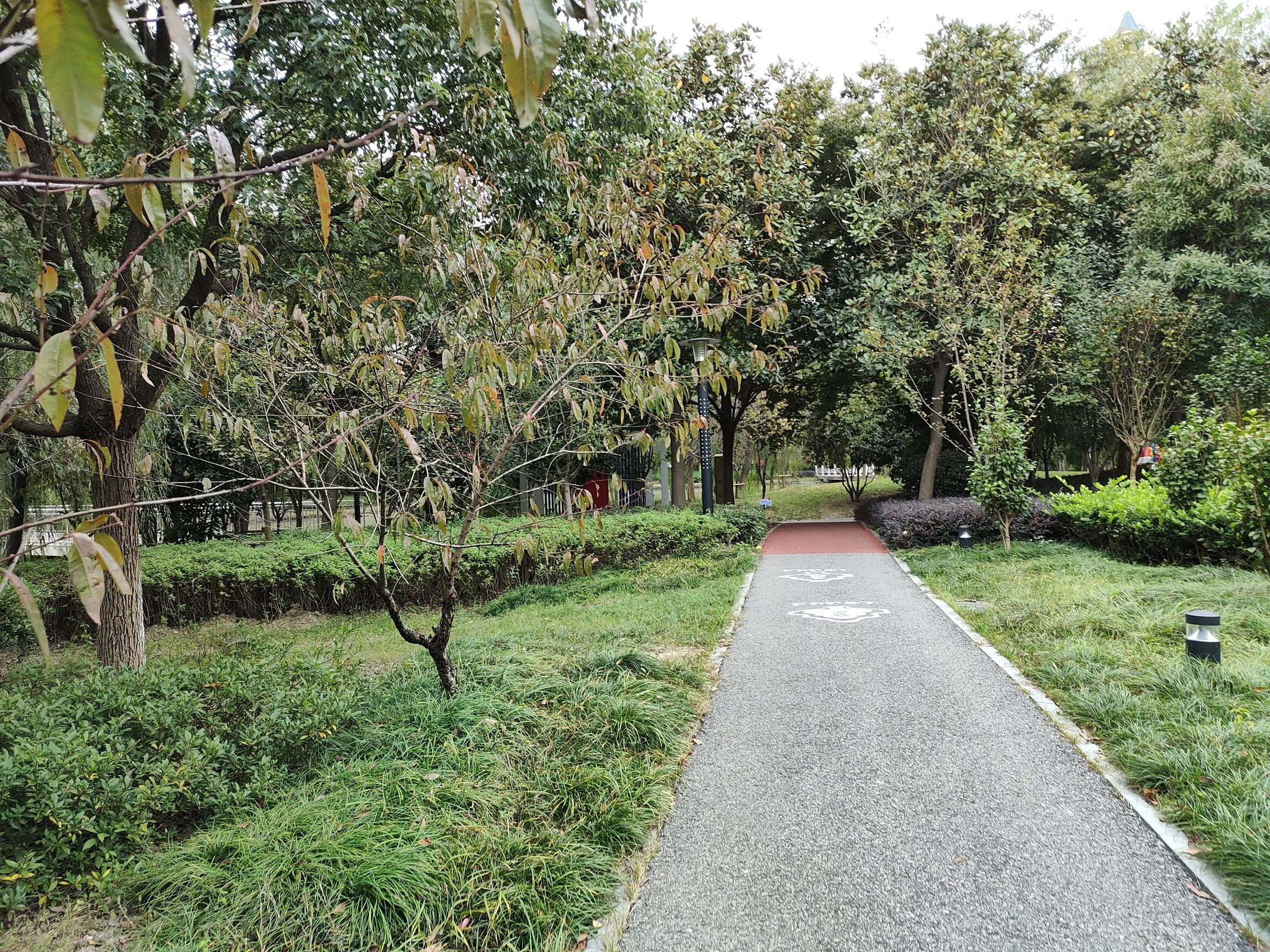 平湖塘公园旅行图片 3