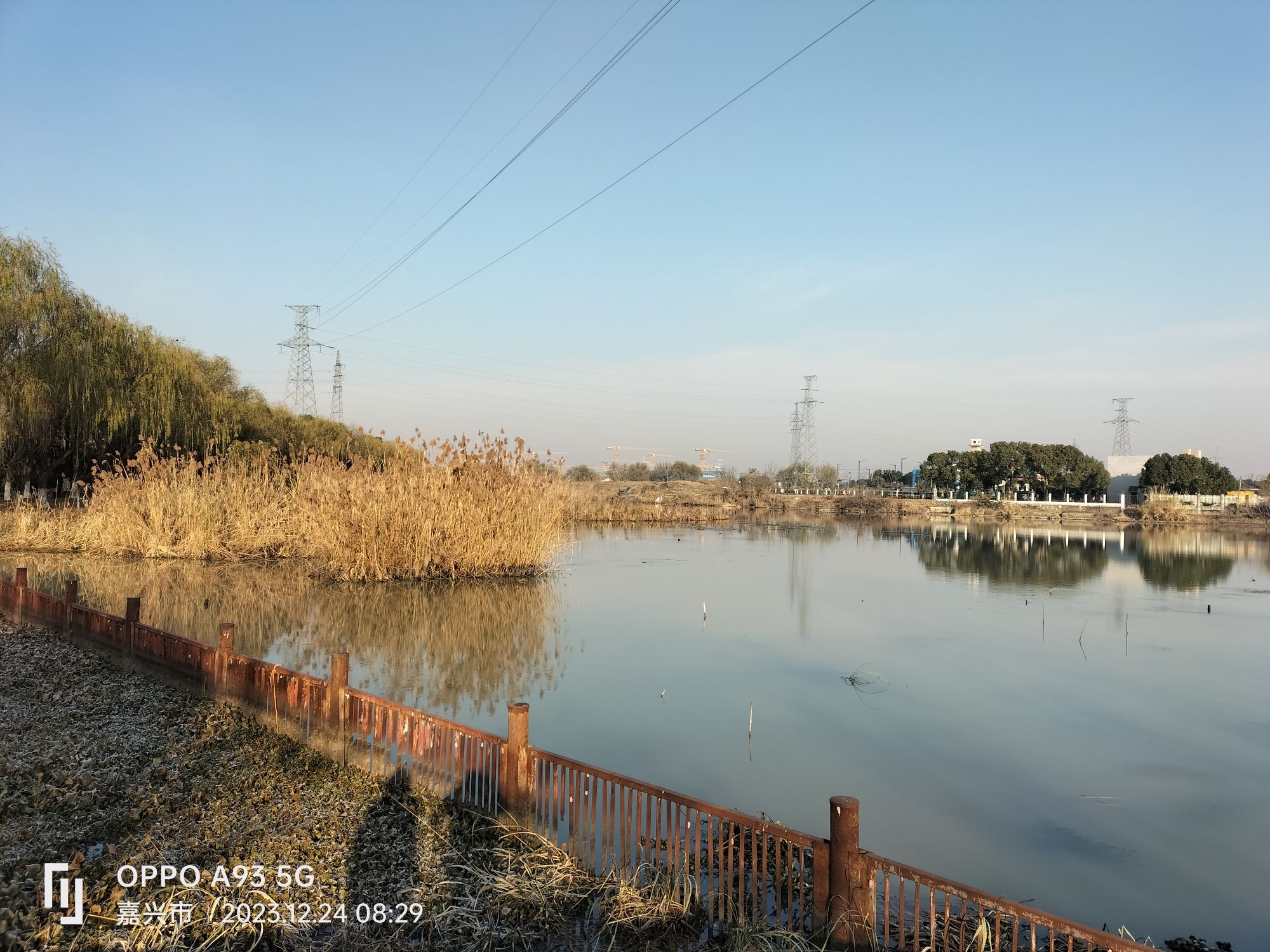 平湖塘公园旅行图片 2