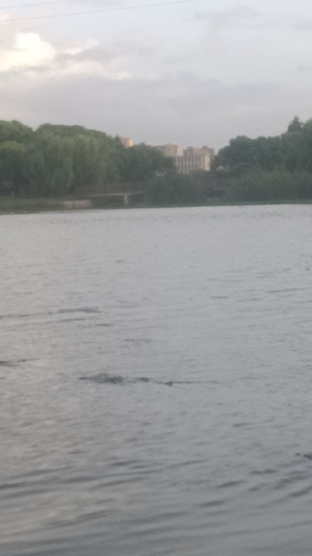 平湖塘公园旅行图片 3