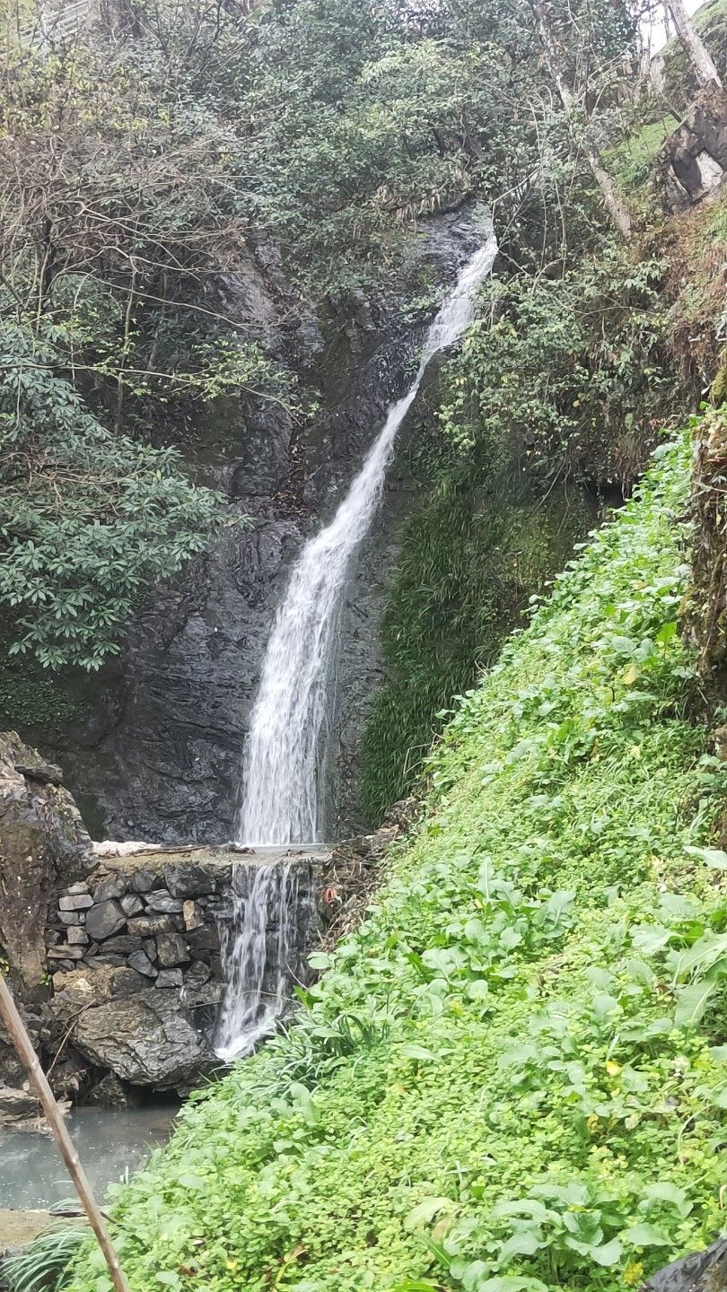老清山火山地质公园旅行图片 3