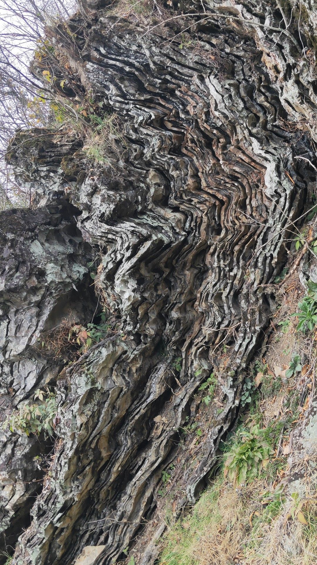 老清山火山地质公园旅行图片 2