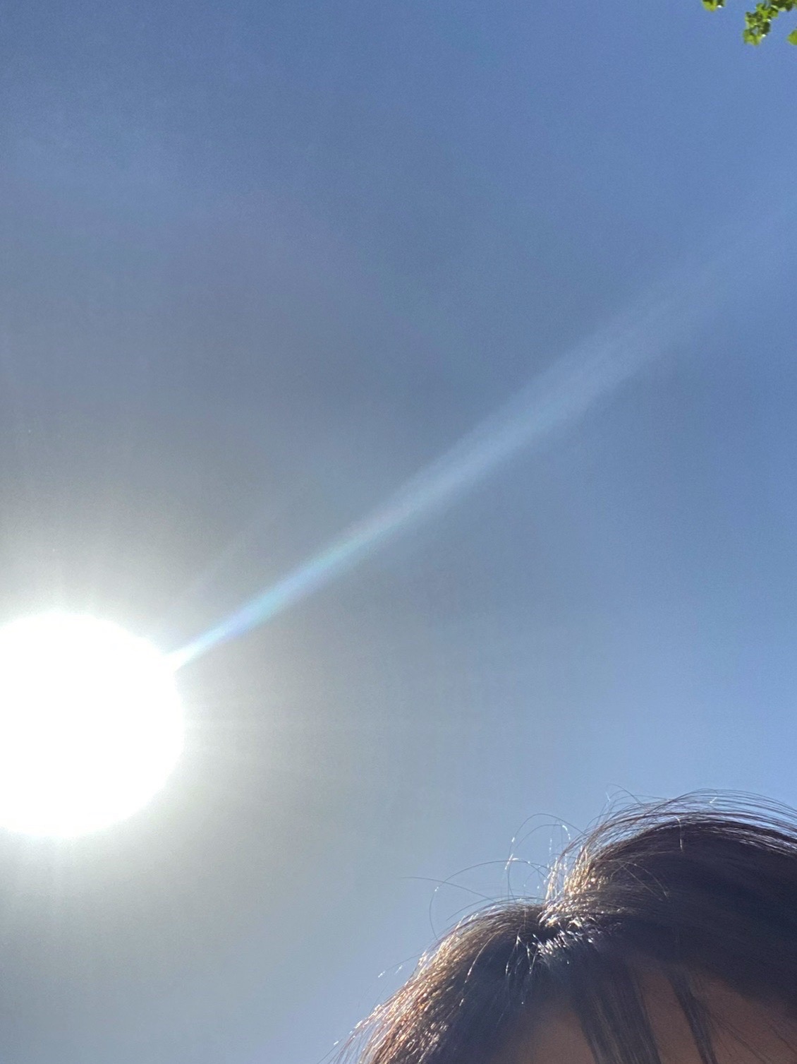 黎侯公园旅行图片 3