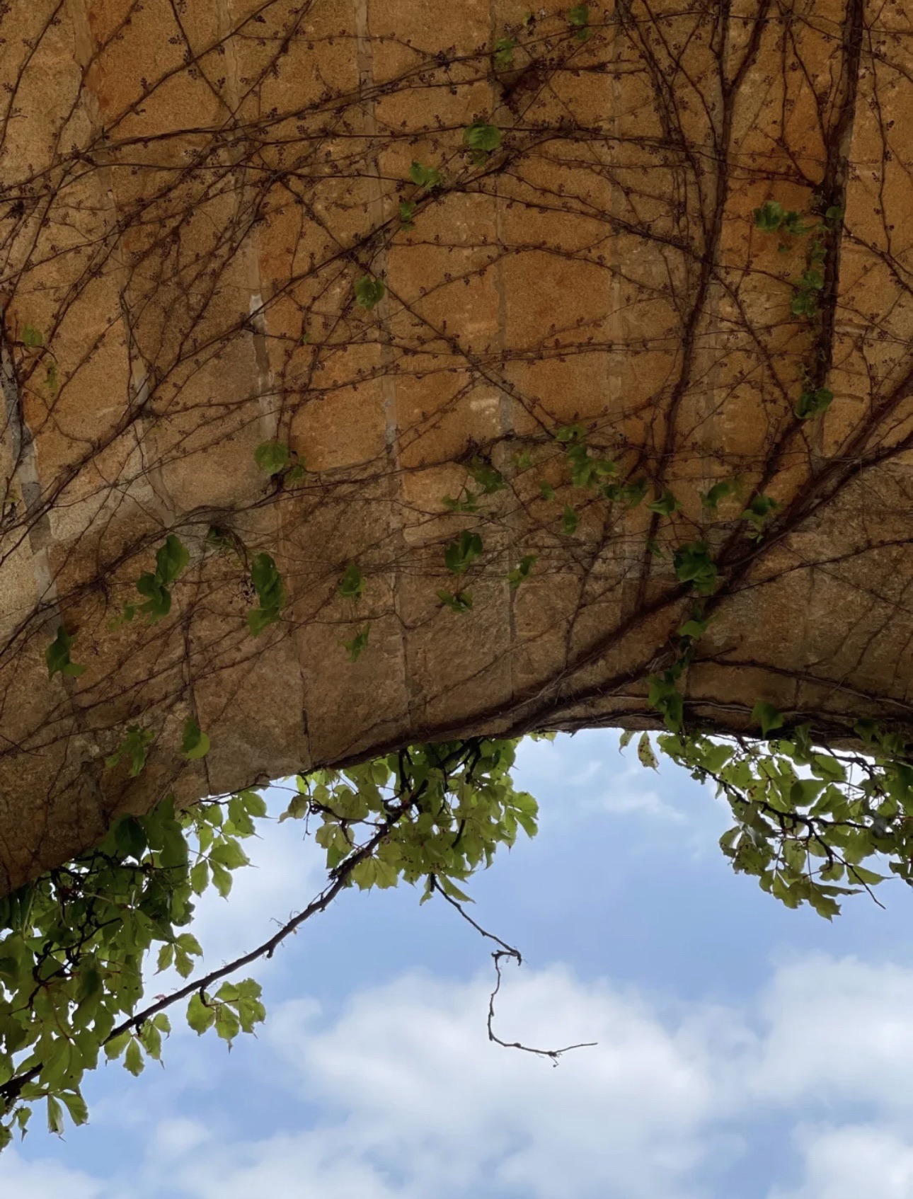 福全古城旅行图片 2