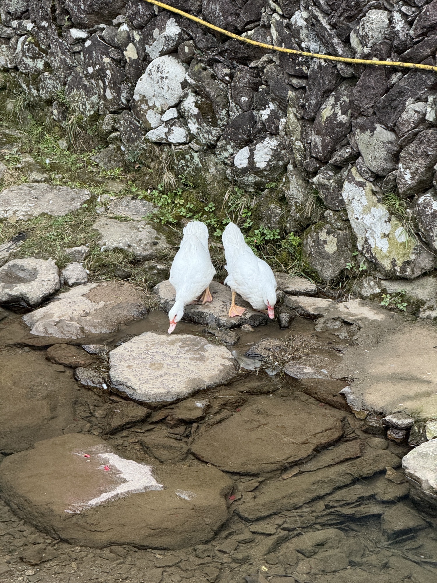 黄檀硐景区旅行图片 1