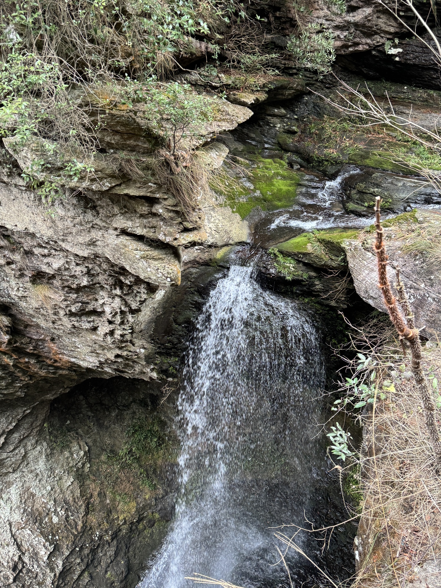 黄檀硐景区旅行图片 2