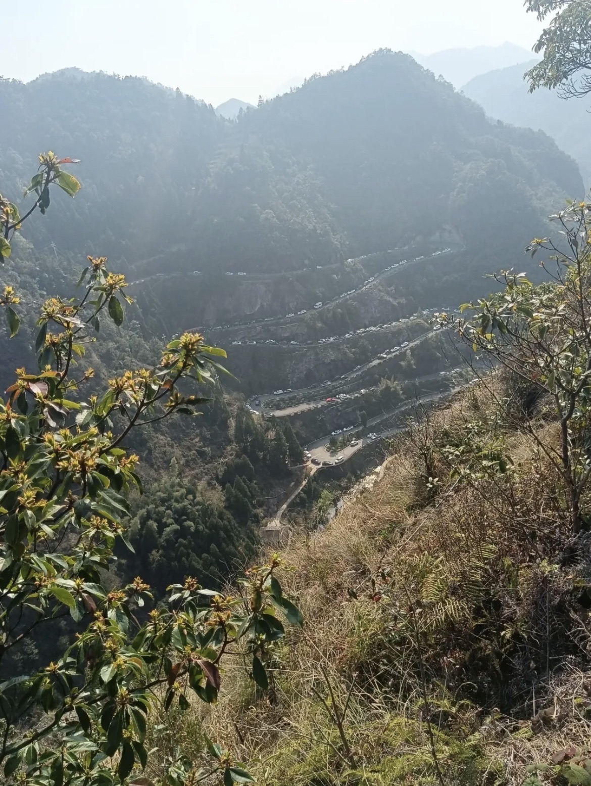 黄檀硐景区旅行图片 3