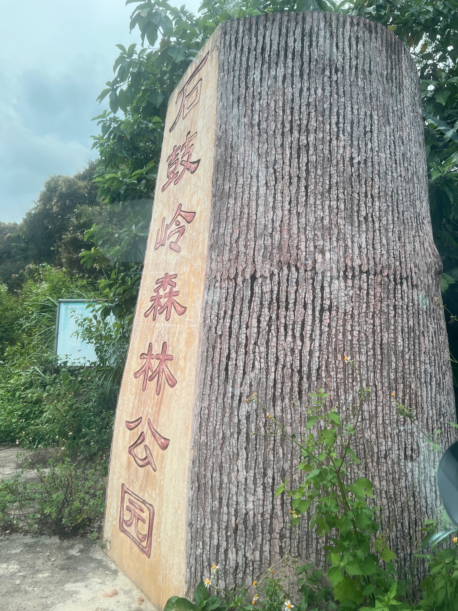 石鼓岭森林公园旅行图片 1