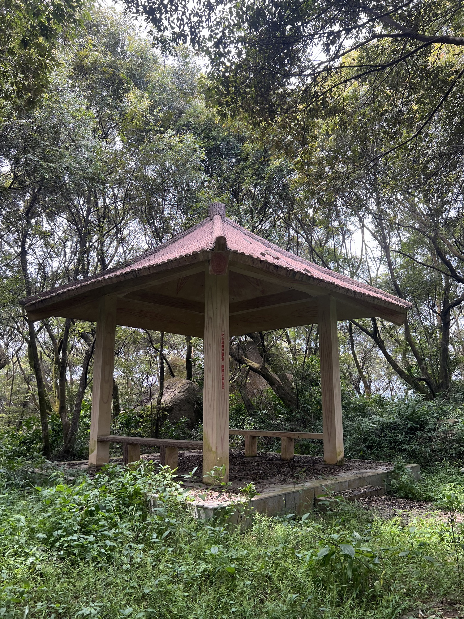 石鼓岭森林公园旅行图片 3
