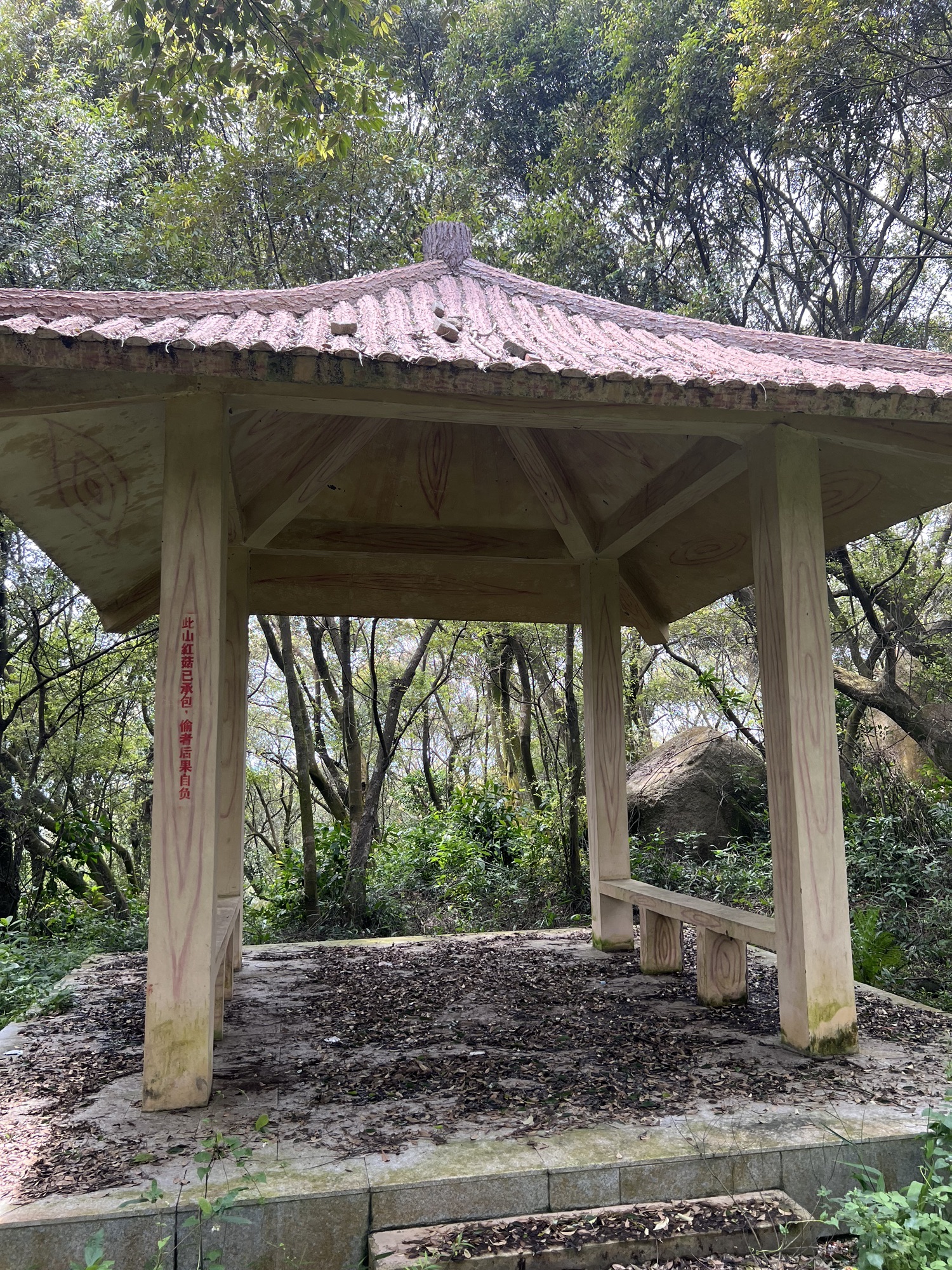 石鼓岭森林公园旅行图片 2
