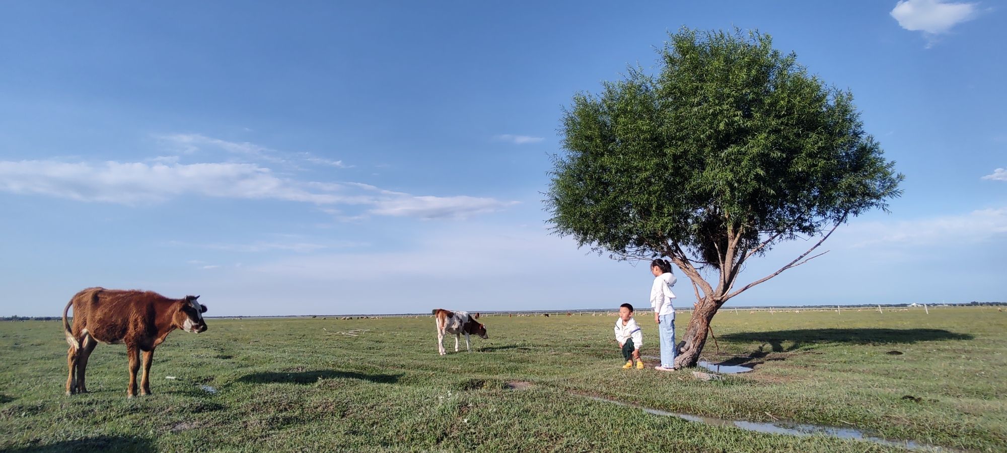 圣湖草原巴音淖尔旅行图片 2
