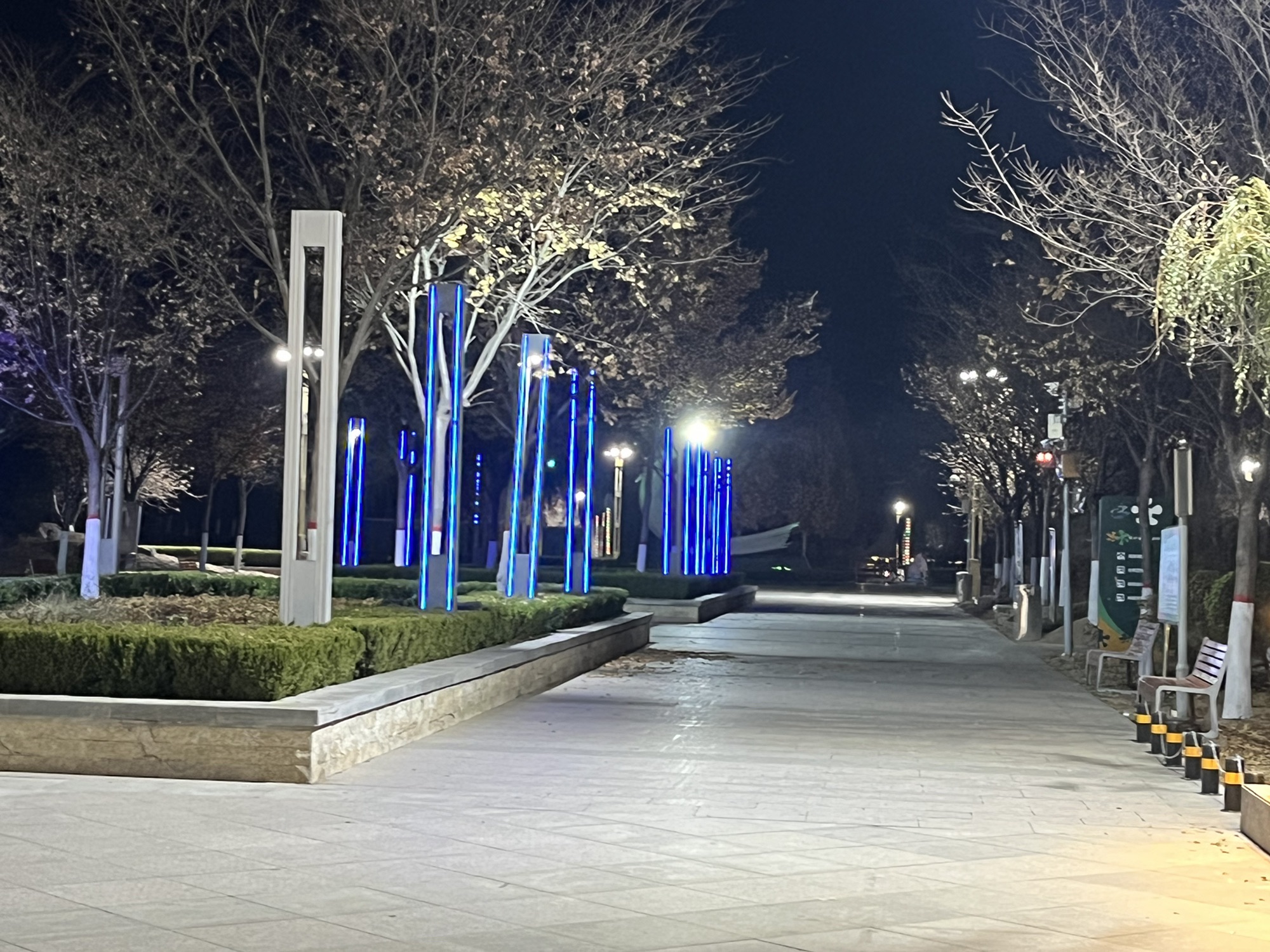 白鹭湖湿地公园旅行图片 1